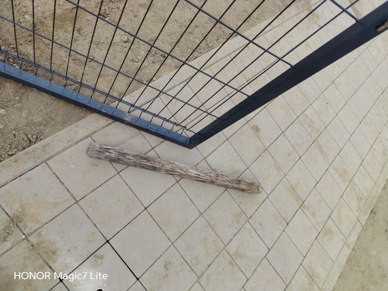 1000042572 1000042572