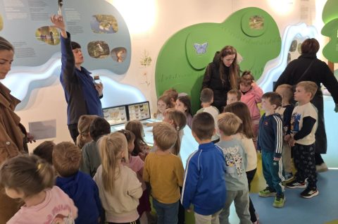 1000043623 1000043623