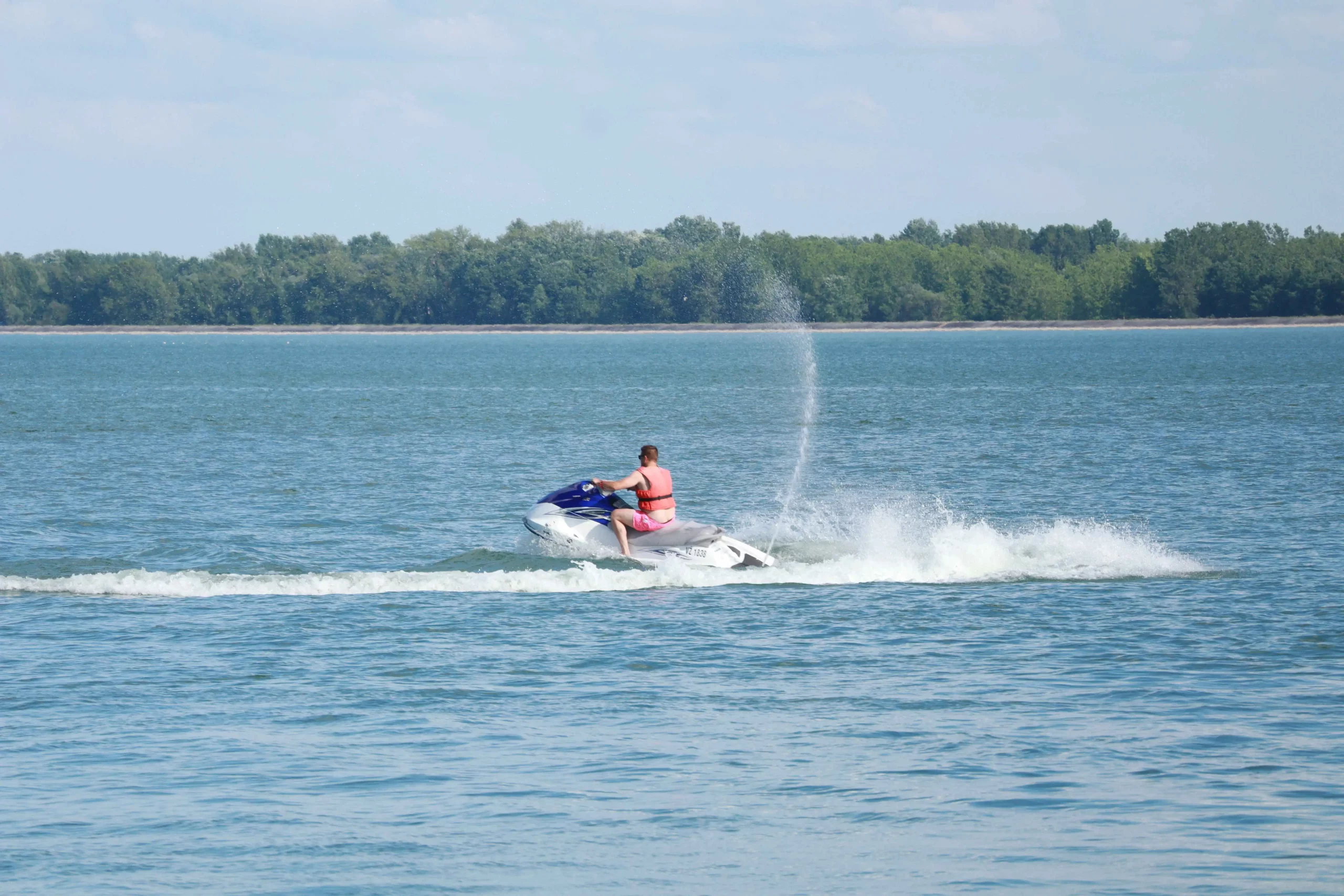 1000065579 1000065579