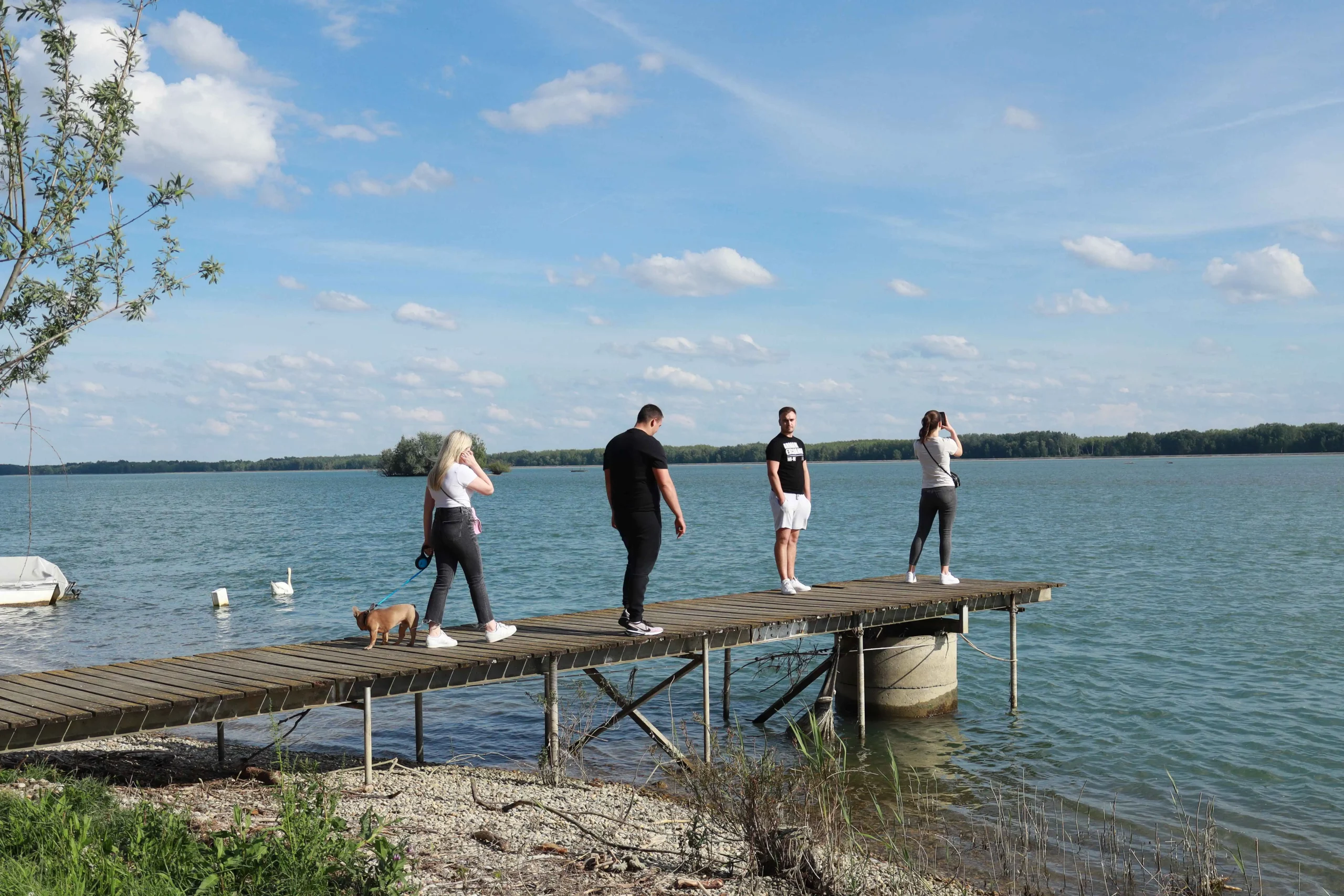 1000065584 1000065584