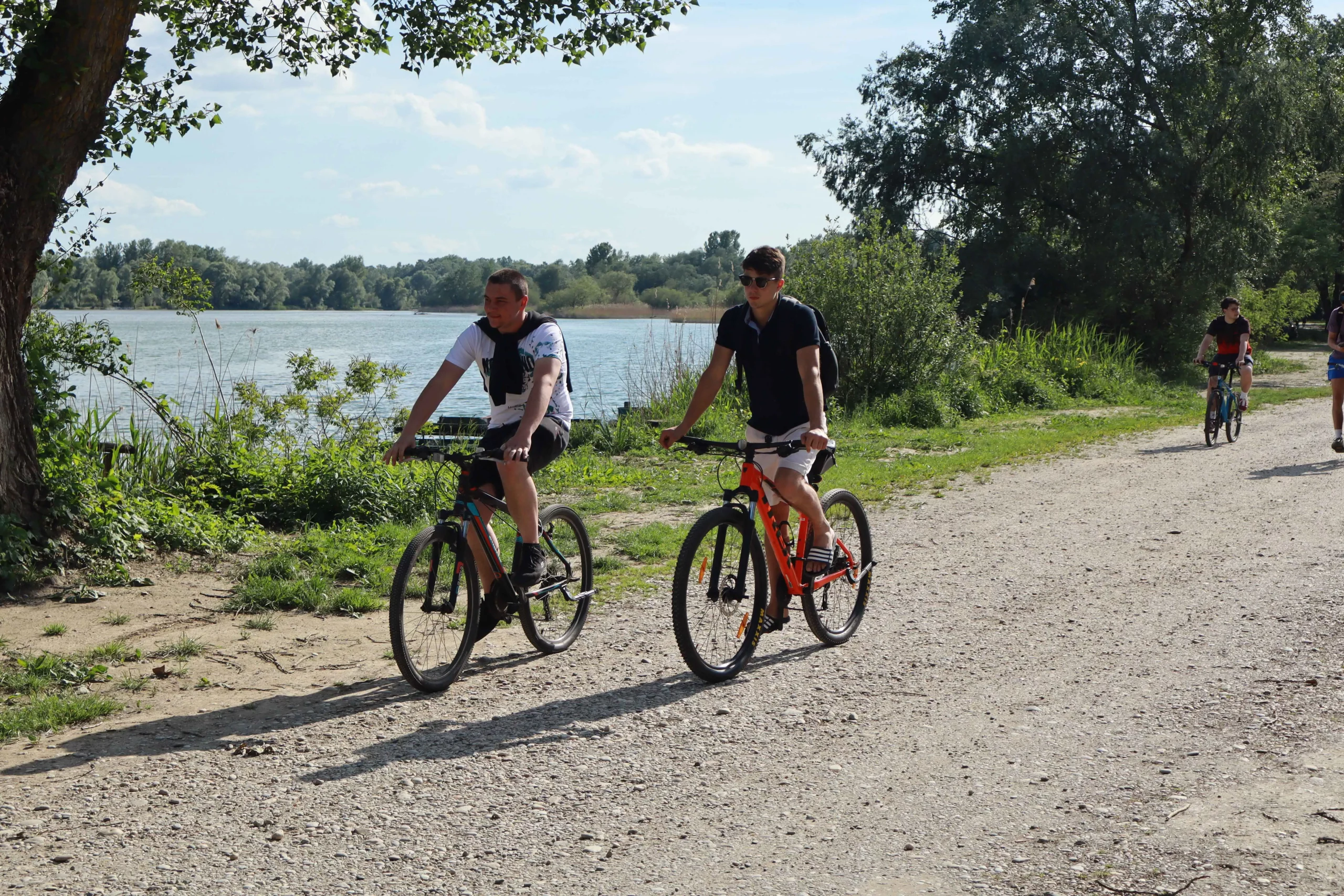 1000065593 1000065593