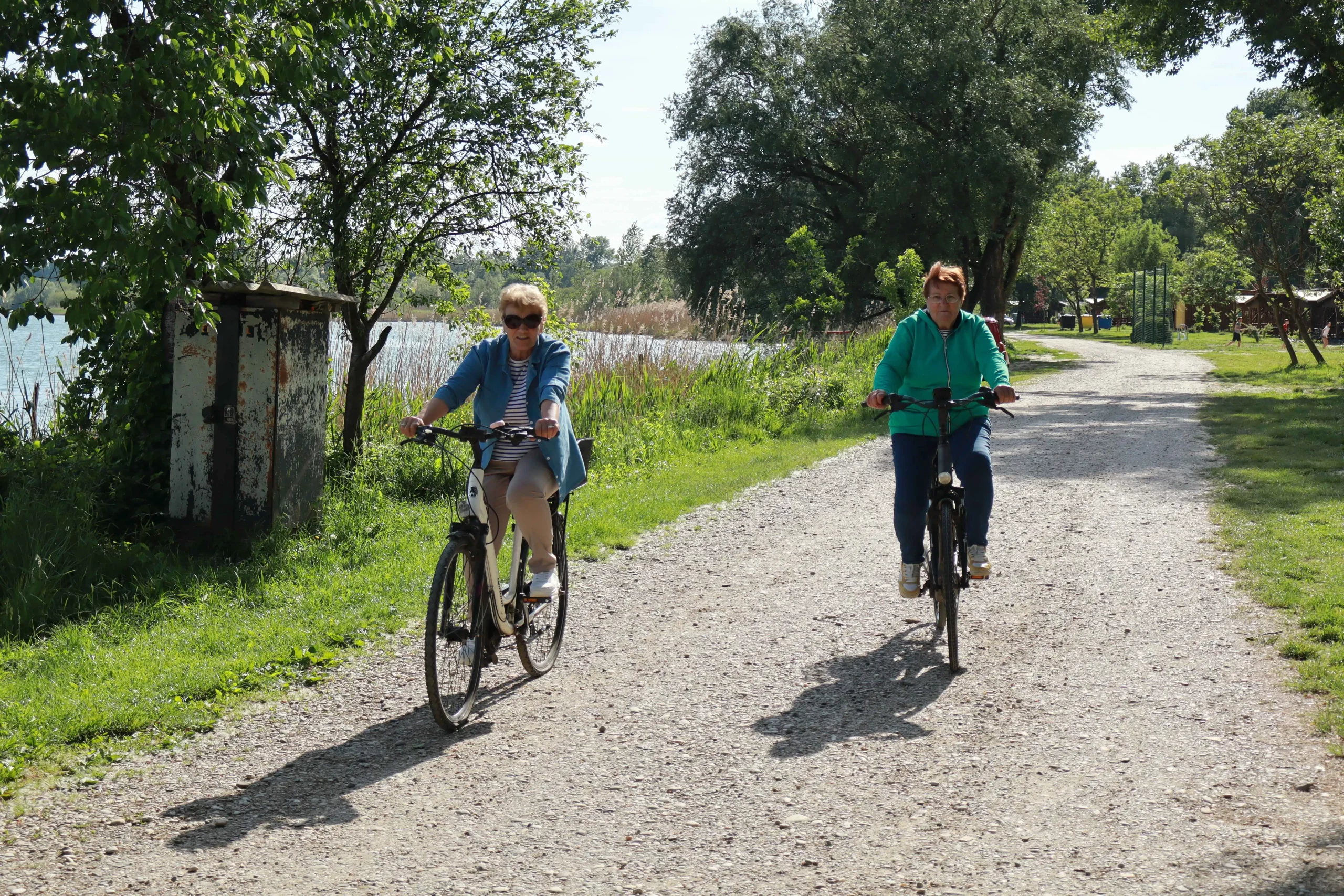 1000065596 1000065596