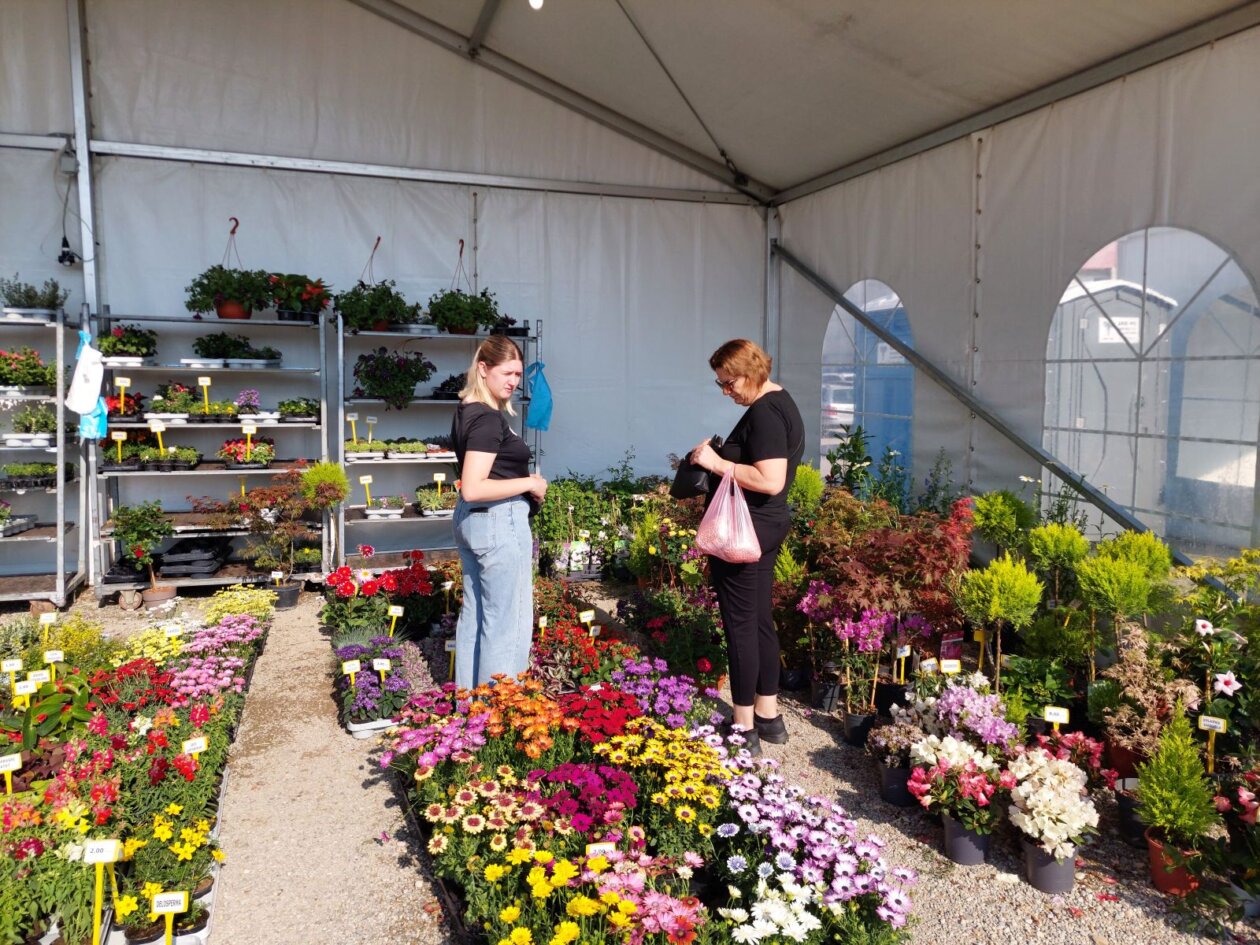 sajam cvijeća prelog 2025 sajam cvijeća prelog 2025