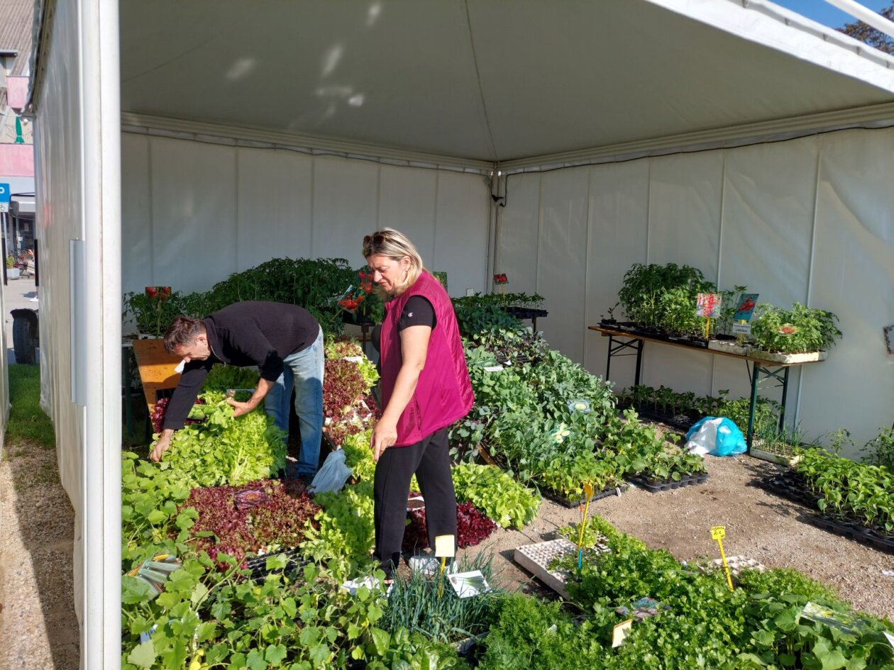 sajam cvijeća prelog 2025 sajam cvijeća prelog 2025