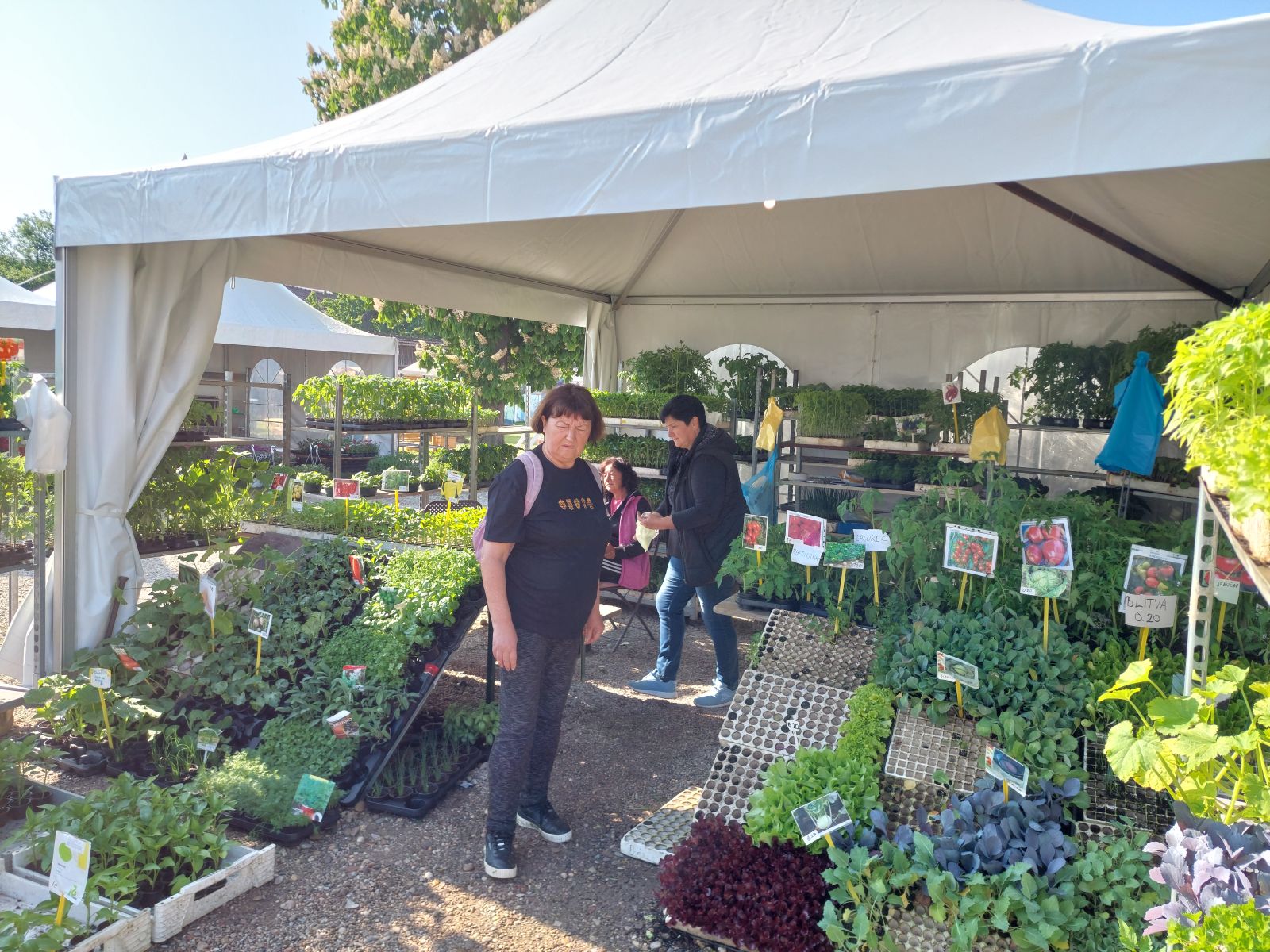 sajam cvijeća prelog 2025