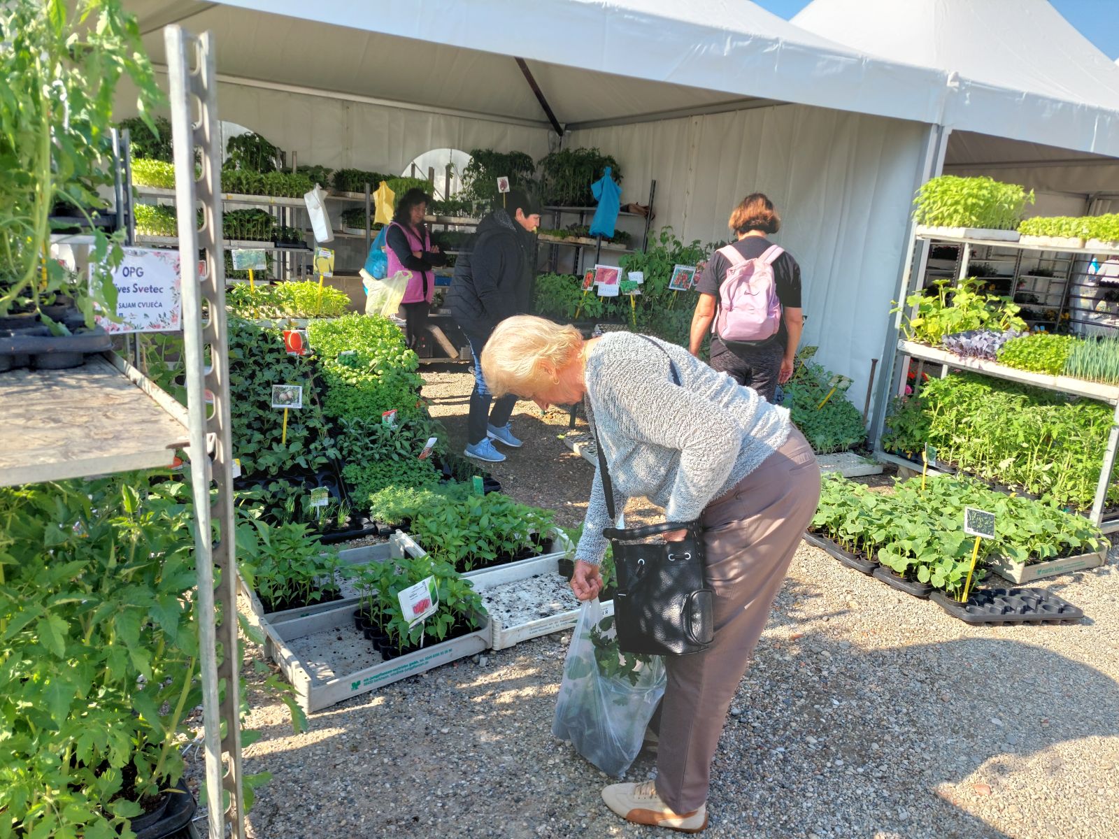 sajam cvijeća prelog 2025