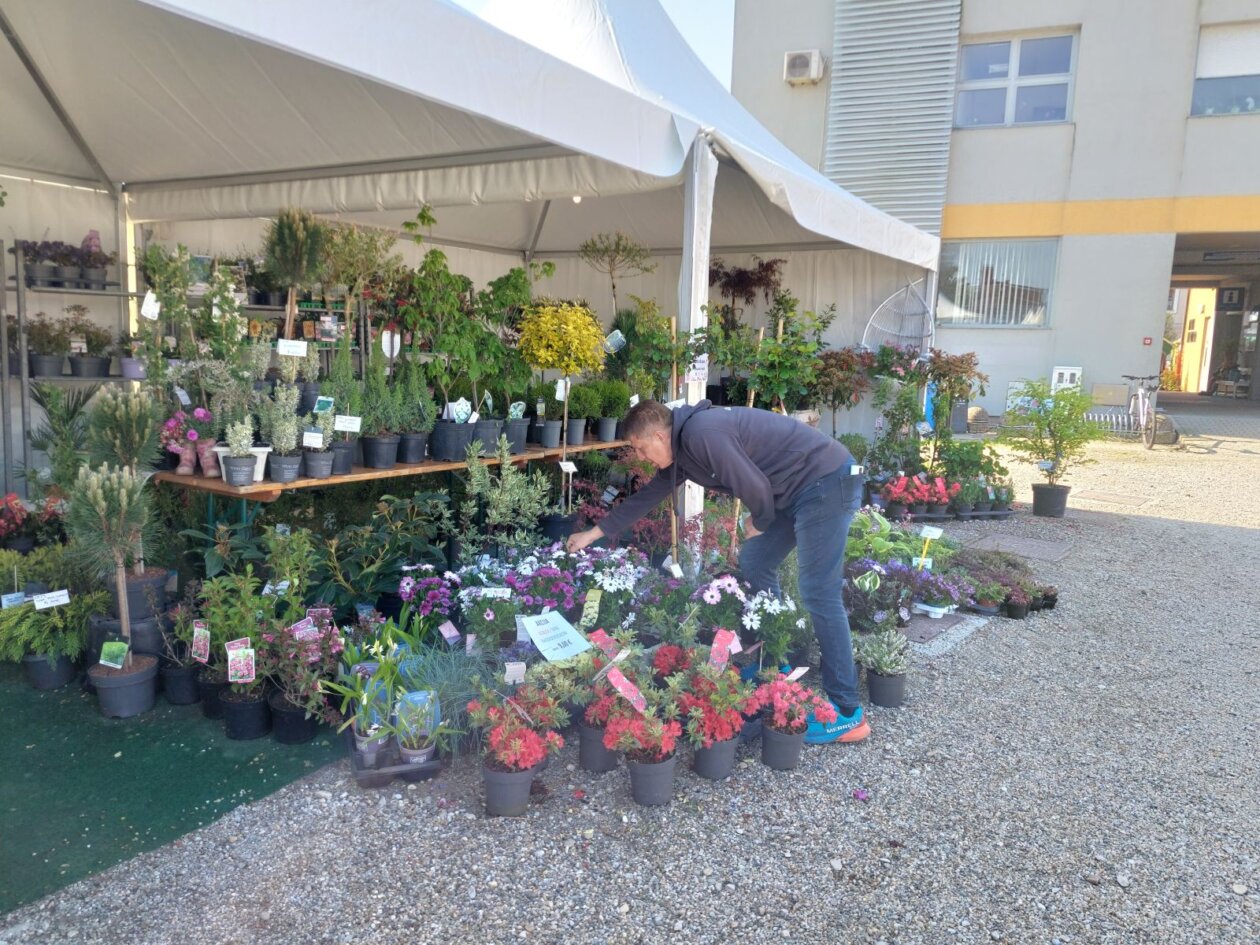 sajam cvijeća prelog 2025 sajam cvijeća prelog 2025