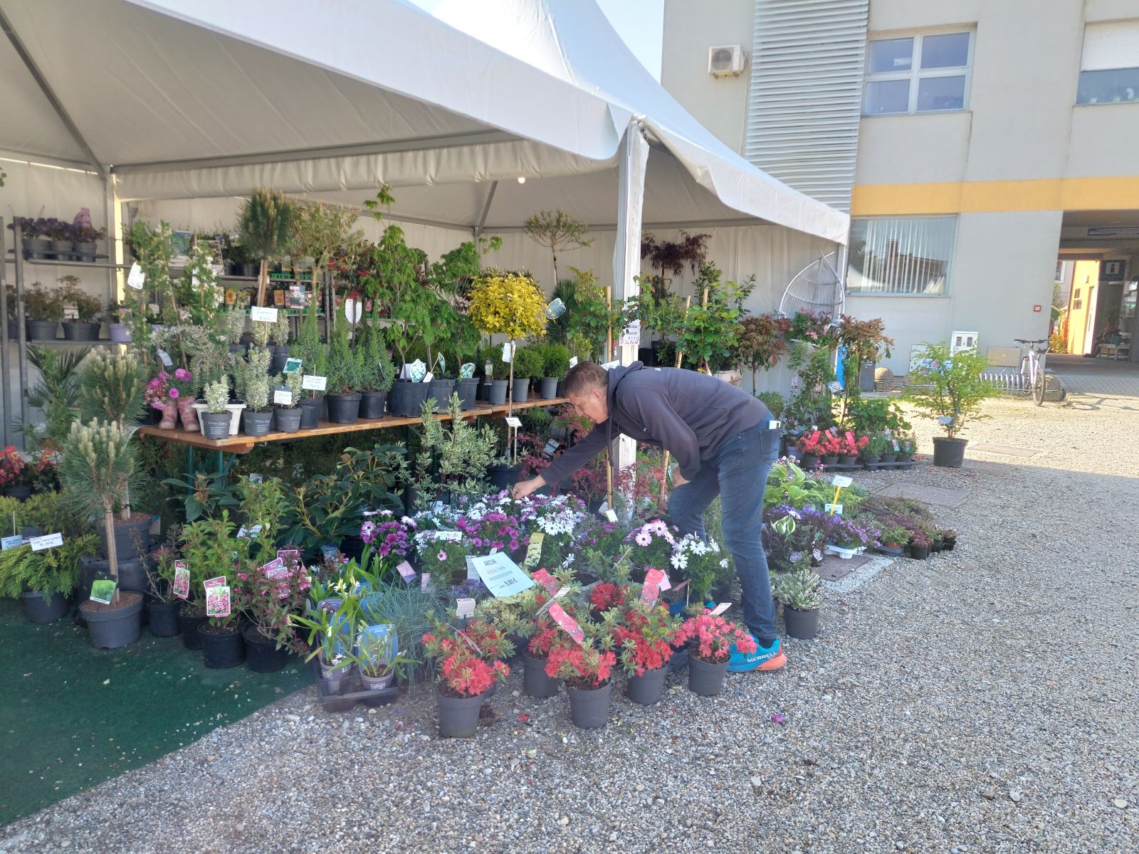 sajam cvijeća prelog 2025