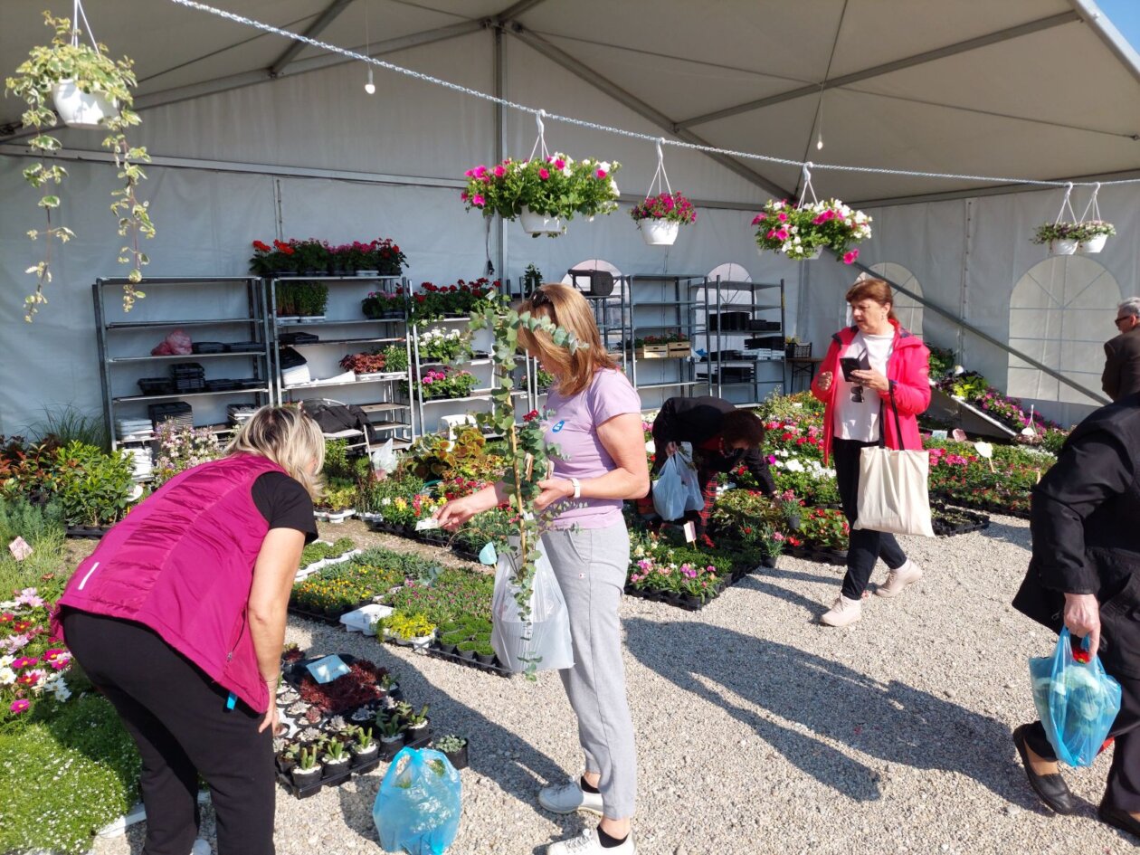 sajam cvijeća prelog 2025 sajam cvijeća prelog 2025