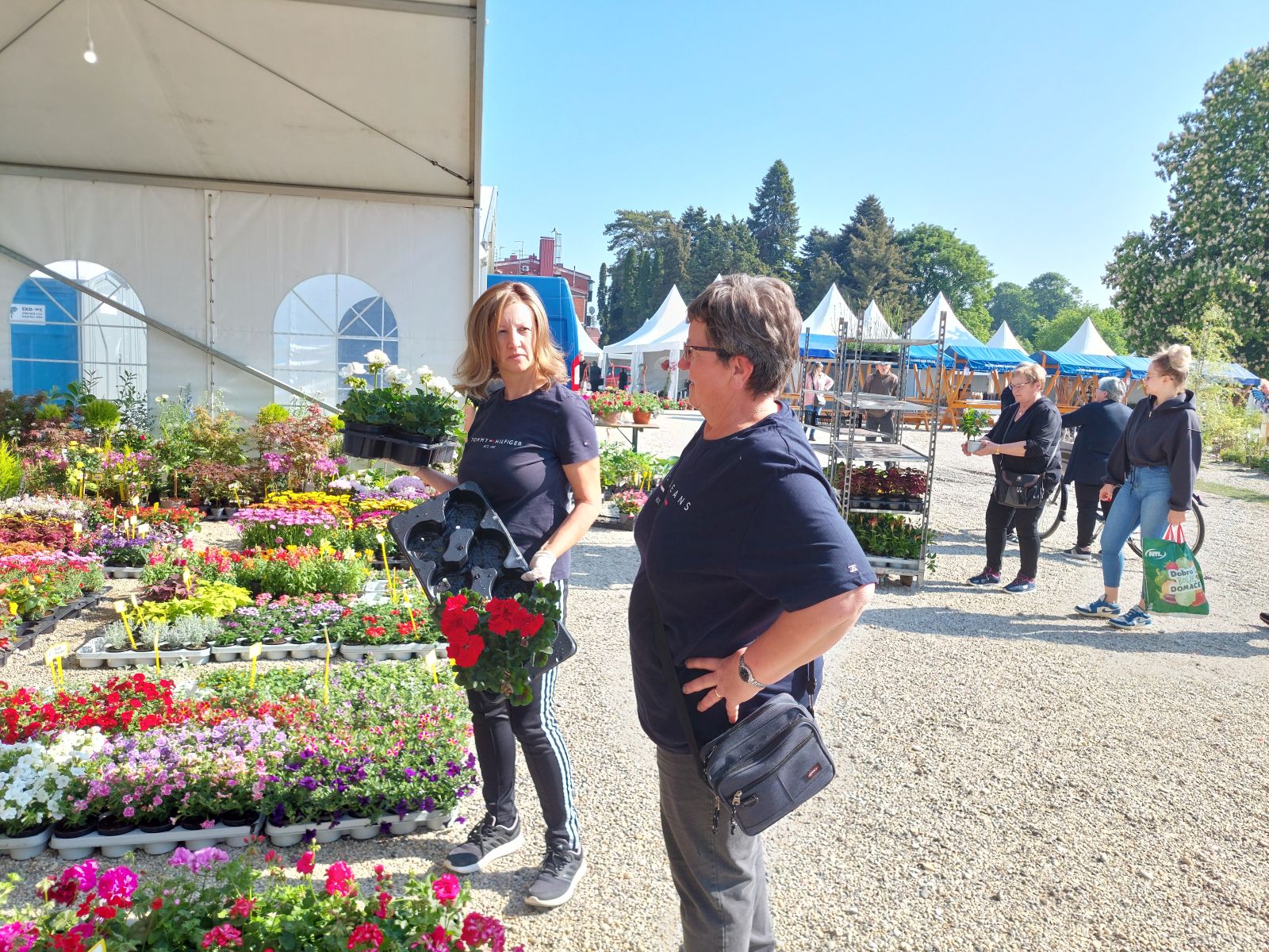 sajam cvijeća prelog 2025