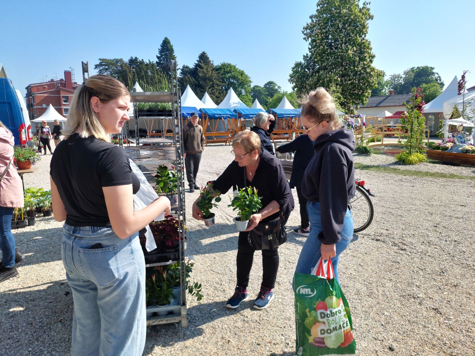 sajam cvijeća prelog 2025