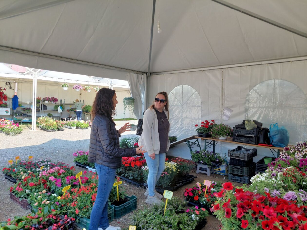 sajam cvijeća prelog 2025 sajam cvijeća prelog 2025