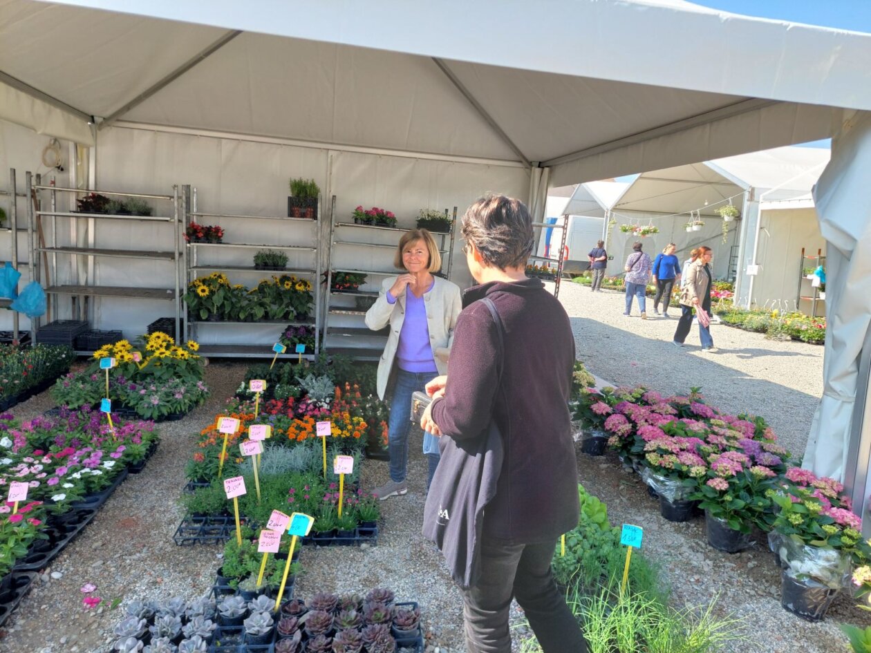 sajam cvijeća prelog 2025 sajam cvijeća prelog 2025