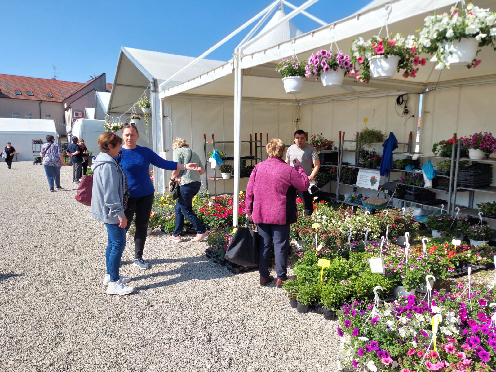 sajam cvijeća prelog 2025