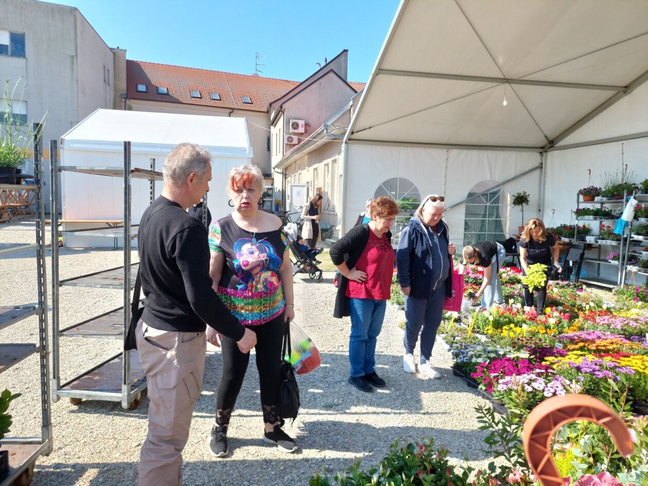 sajam cvijeća prelog 2025 sajam cvijeća prelog 2025