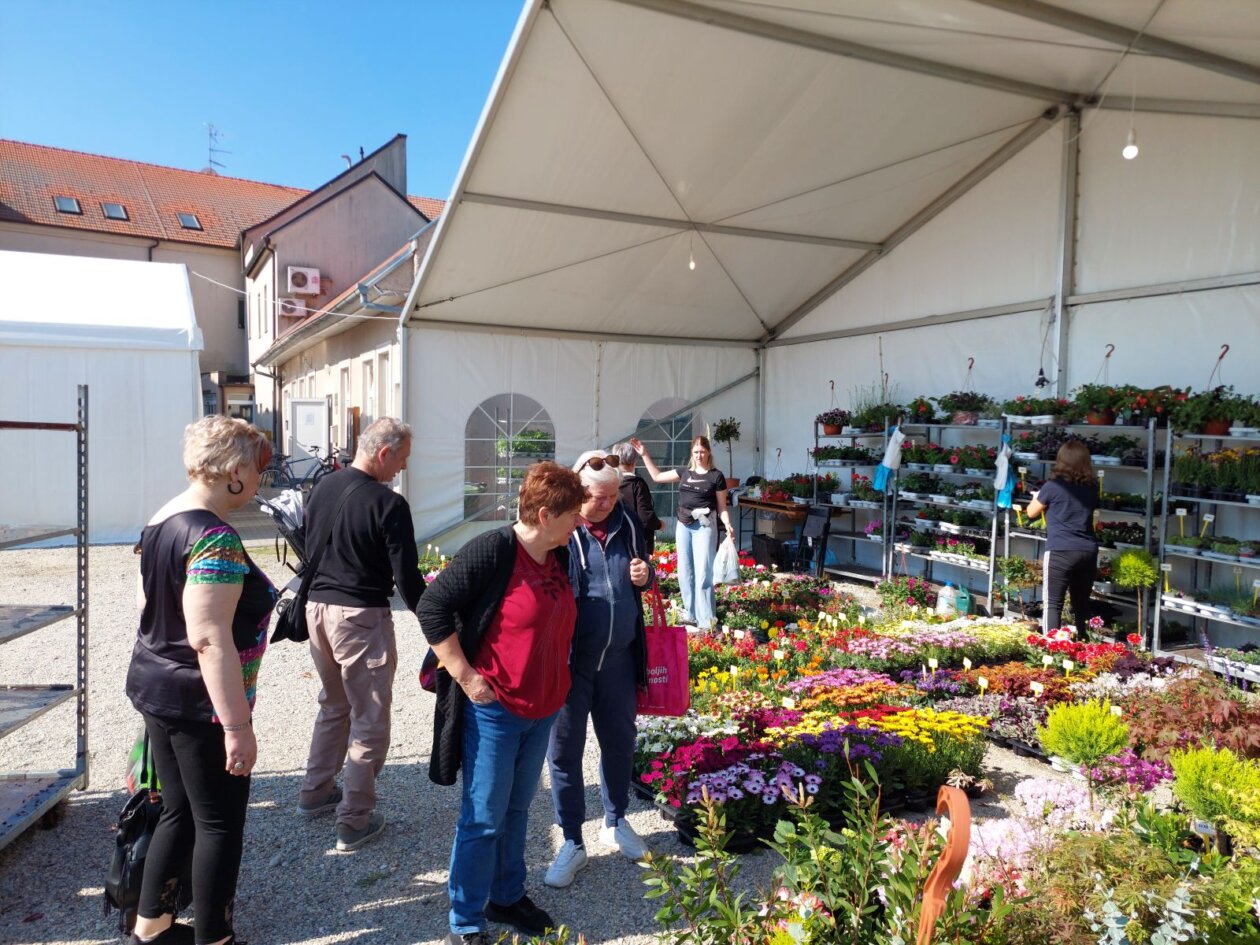 sajam cvijeća prelog 2025 sajam cvijeća prelog 2025