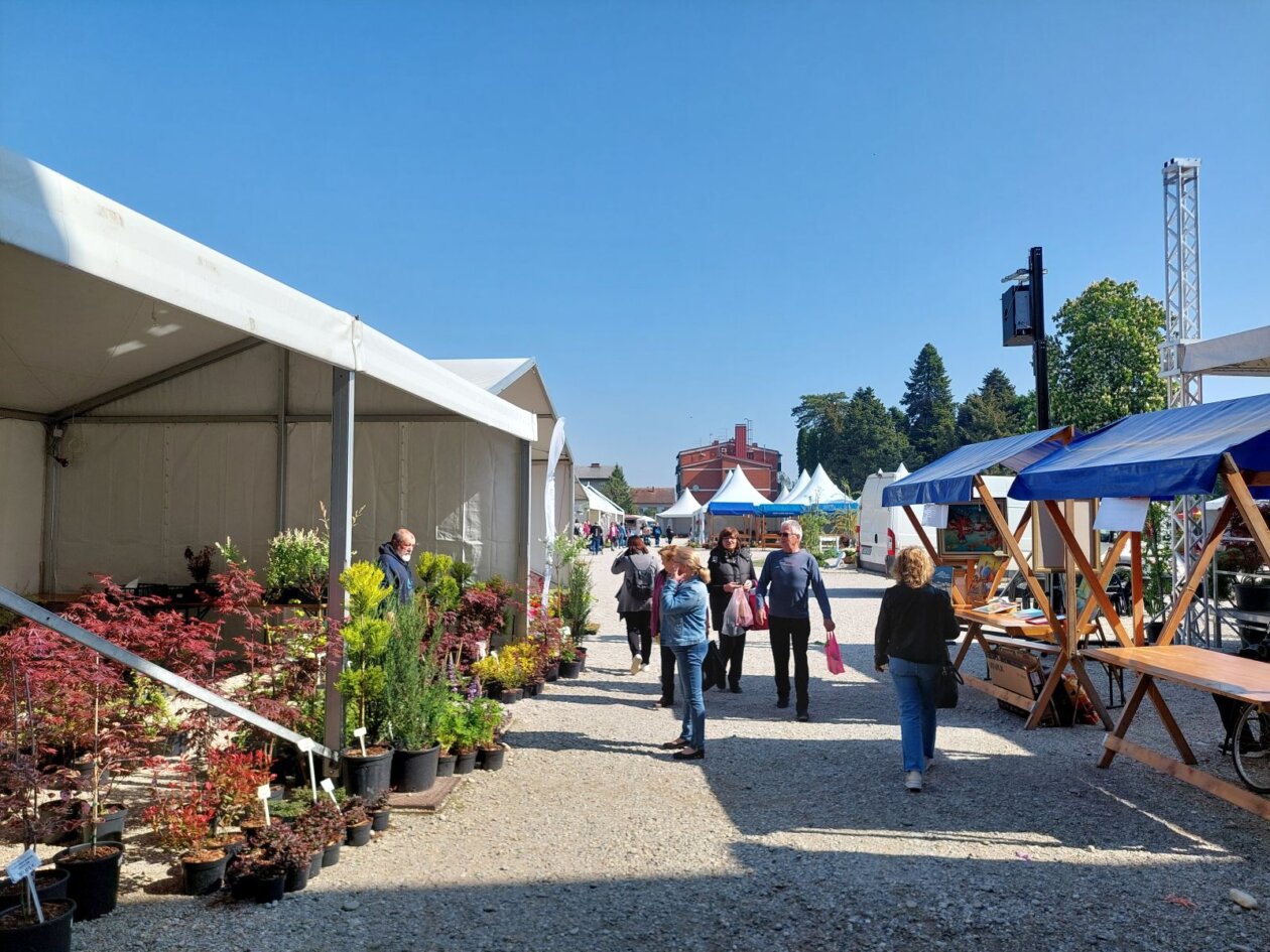 sajam cvijeća prelog 2025 sajam cvijeća prelog 2025