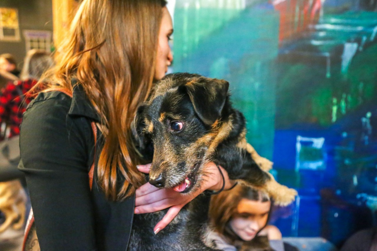 Humanitarno fotkanje s ljubimcima za pomoć azilu Prijatelji Čakovec