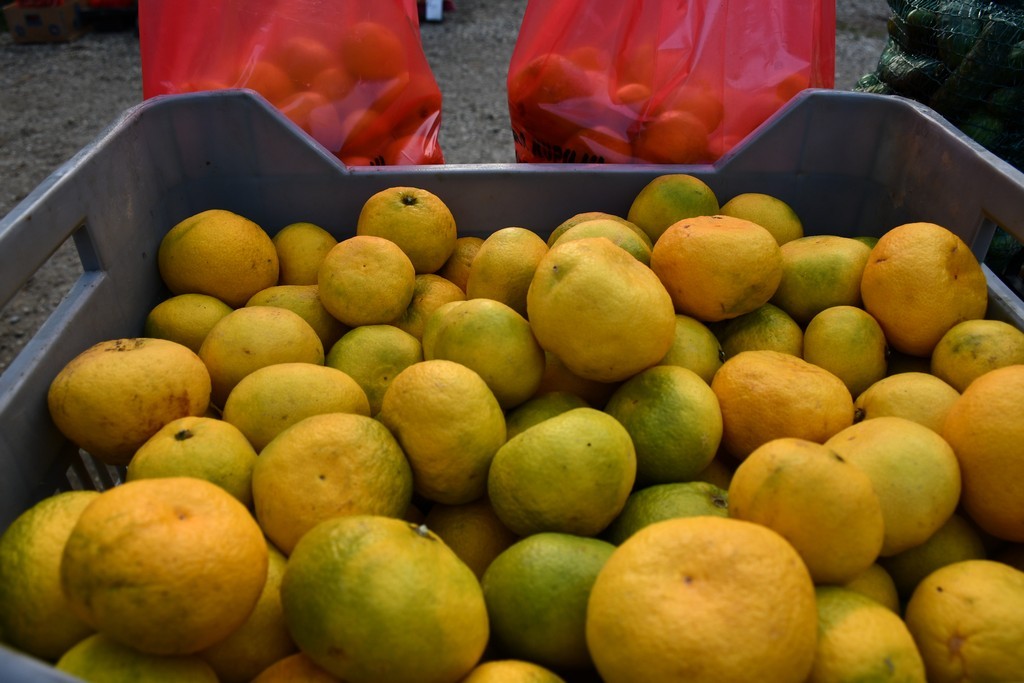 Čakovečki sajam 27.9.2023