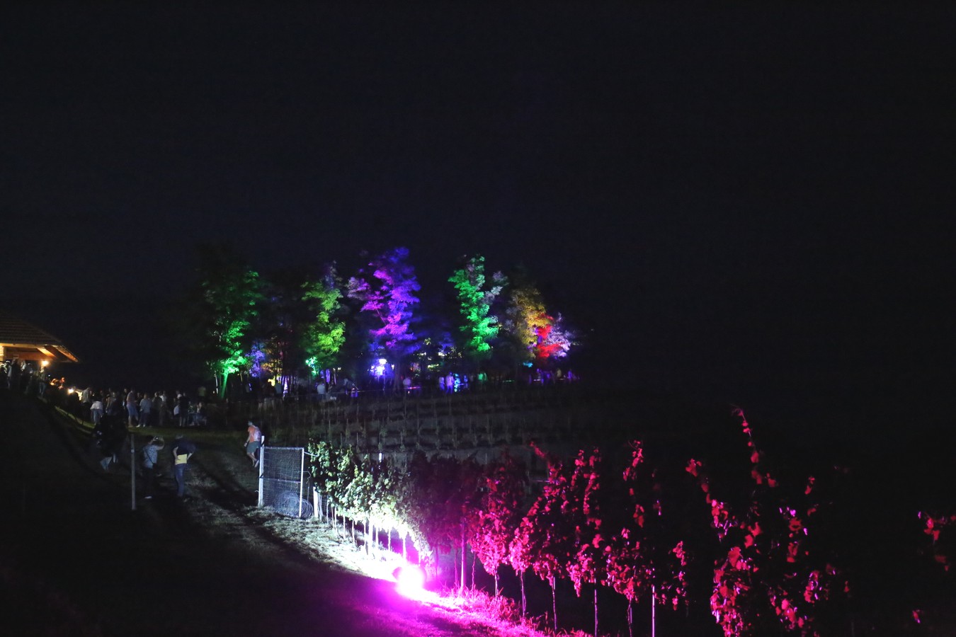 Odličan koncert Vatre u predivnom ambijentu Mađerkinog brega