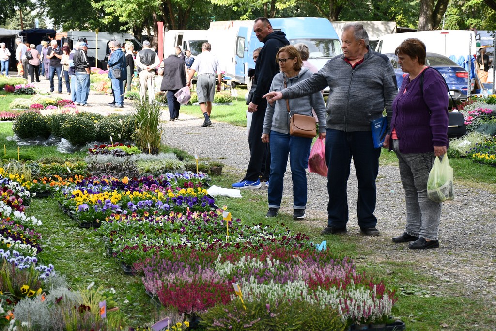 FOTO Kesteni i zelje pravi su hit na čakovečkom sajmu