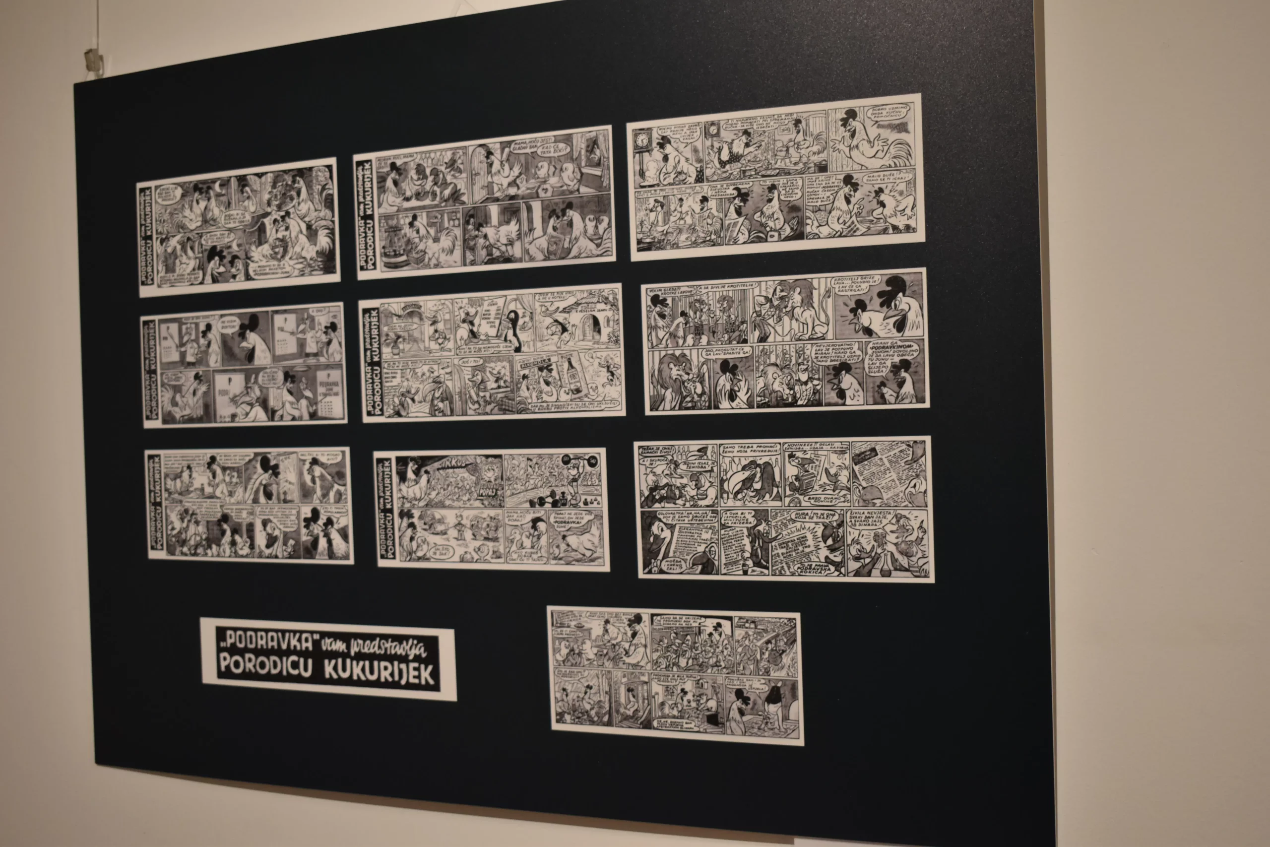 11. Festival stripa u Čakovcu uz predstavljanje knjige Veljka Krulčića (18)