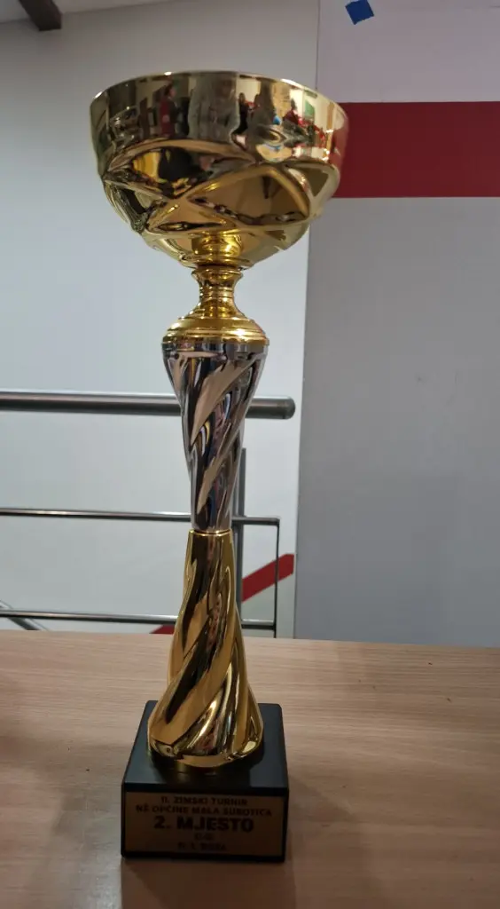 11.ZIMSKI TURNIR OD 09.01.-11.01.2026. NŠ MALA SUBOTICA (42)