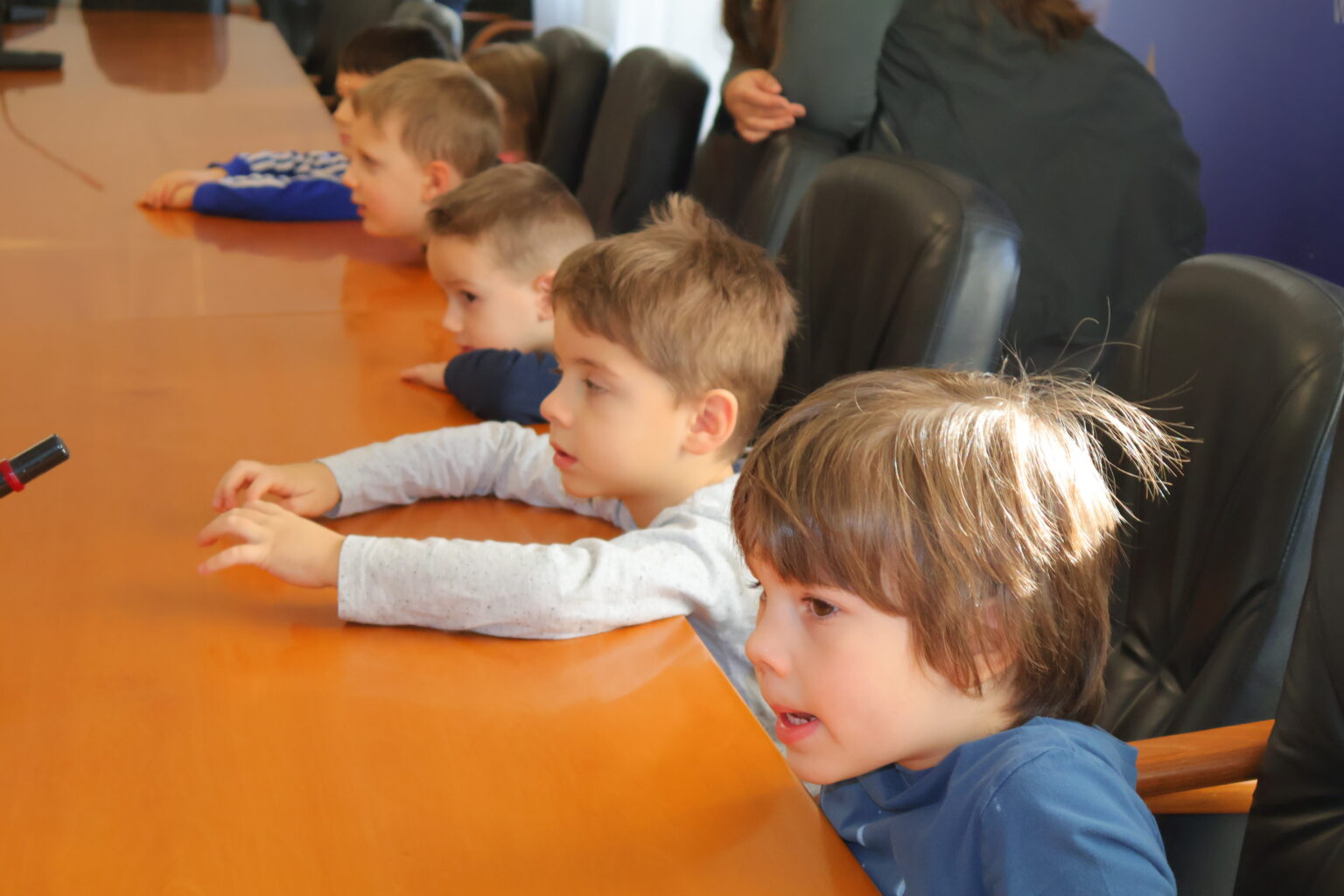 FOTO Skupina ‘Sunčeka’ iz DV Cipelica posjetila Grad Čakovec