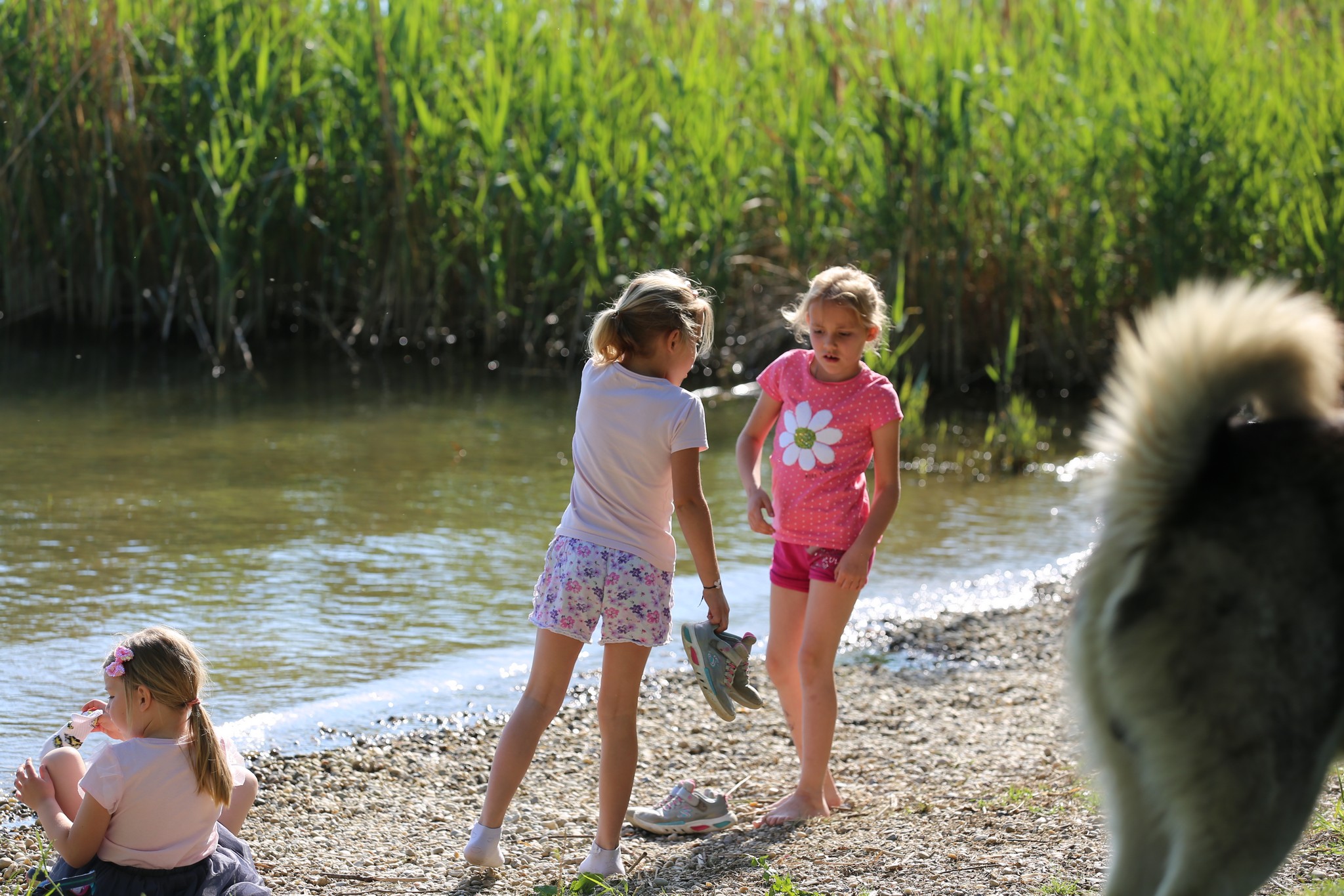 Klikom po Marini (nedjelja, 22.5.2022.)