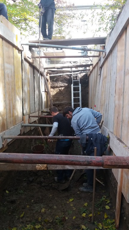 Viša kustosica Branka Marciuš