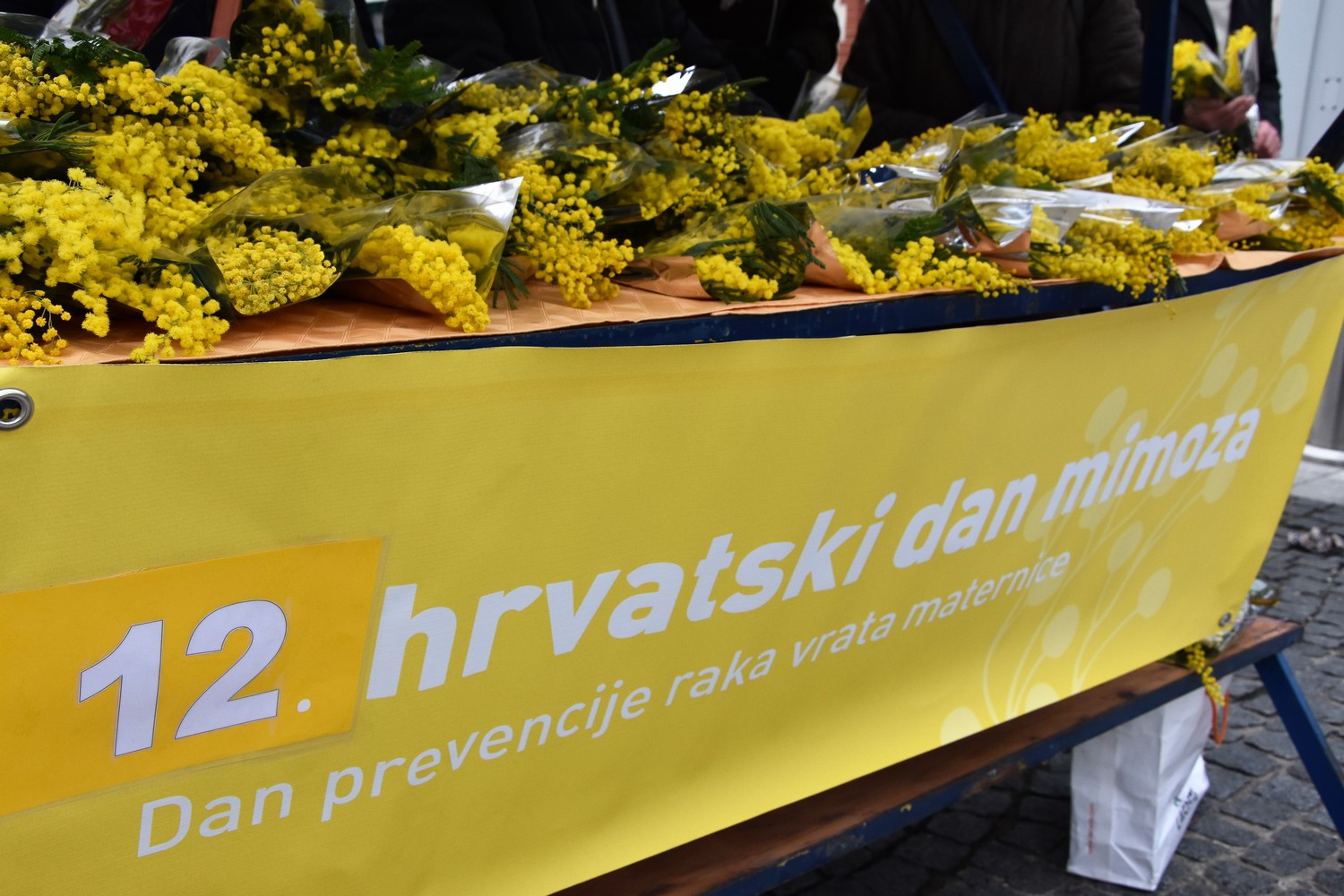 Dan mimoza u Čakovcu