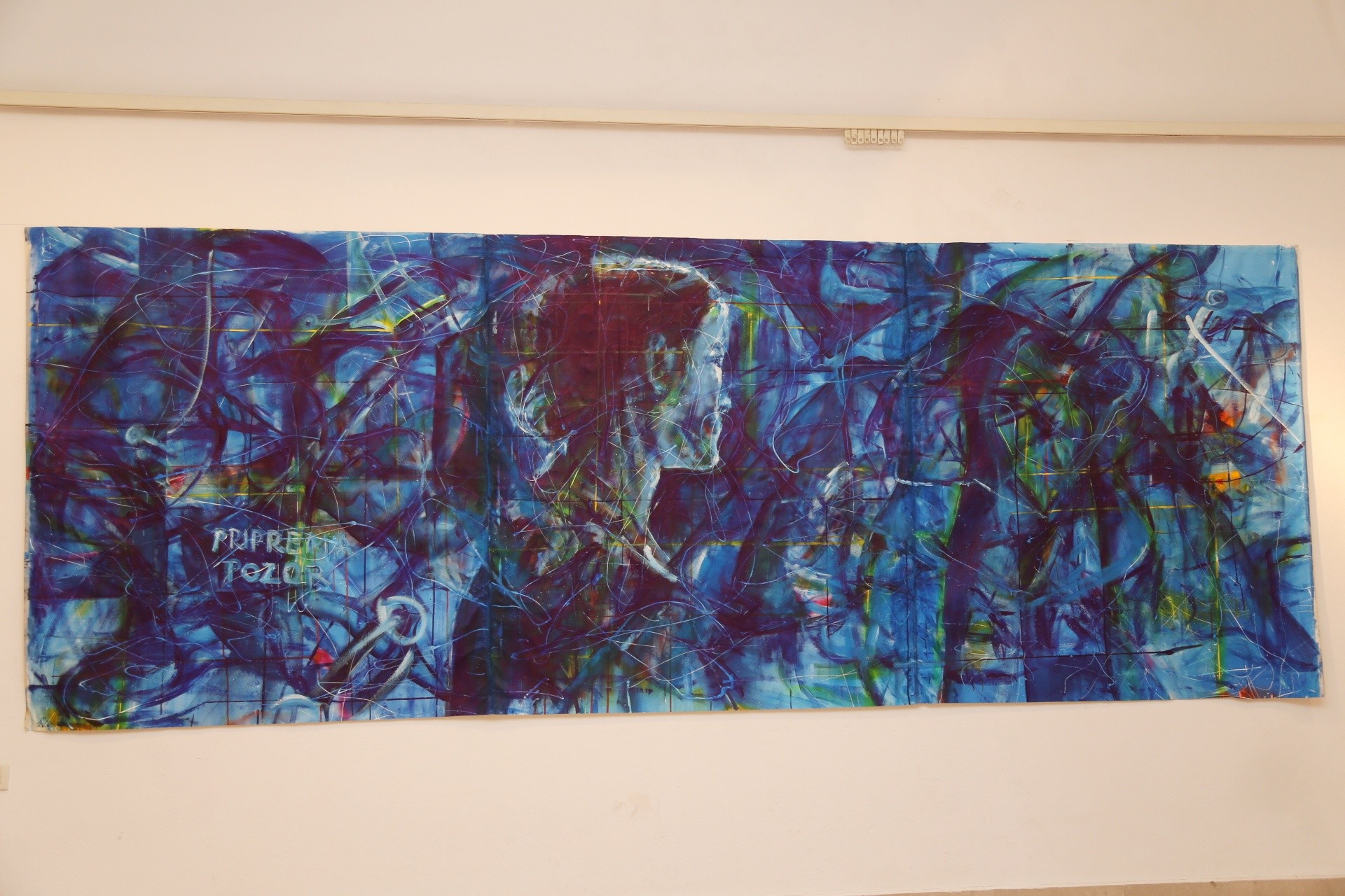 Izložba ‘Plave i crvena’ Ruse Trajkove u Muzeju Međimurja Čakovec