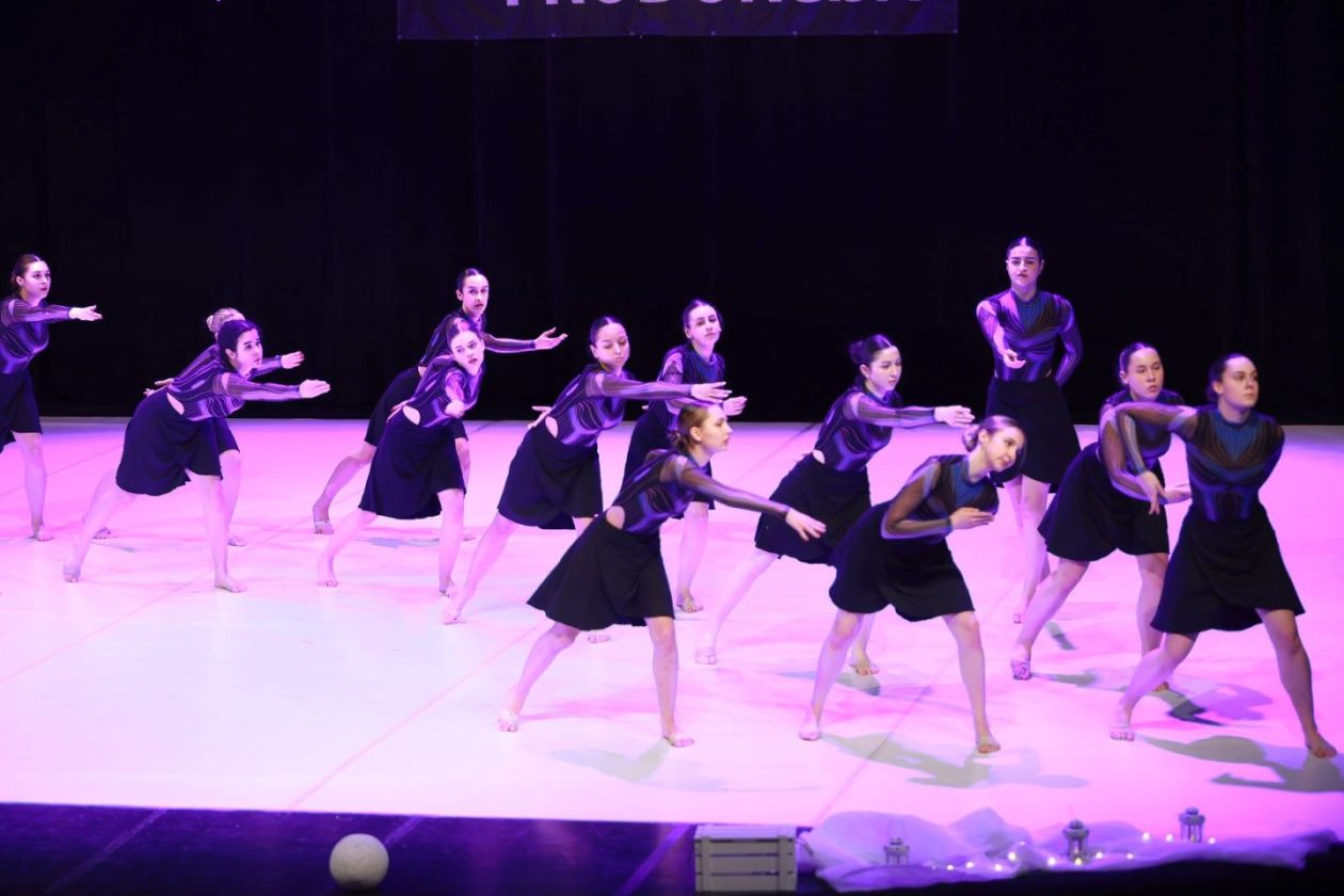 12. plesna zimska produkcija vivone 2026 (1)