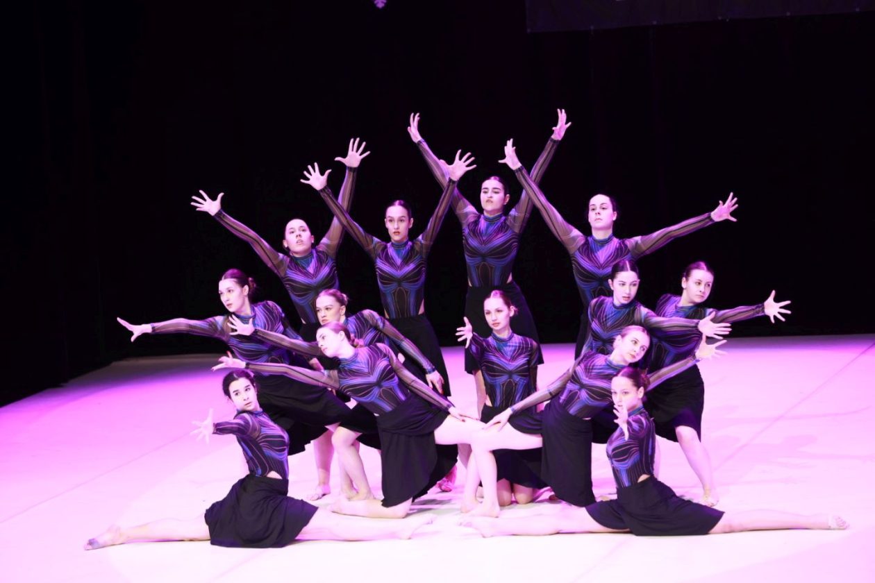 12. plesna zimska produkcija vivone 2026 (14)