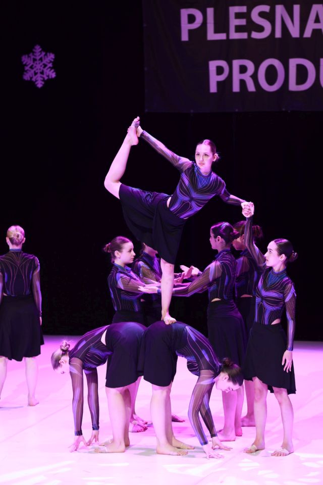 12. plesna zimska produkcija vivone 2026 (15)