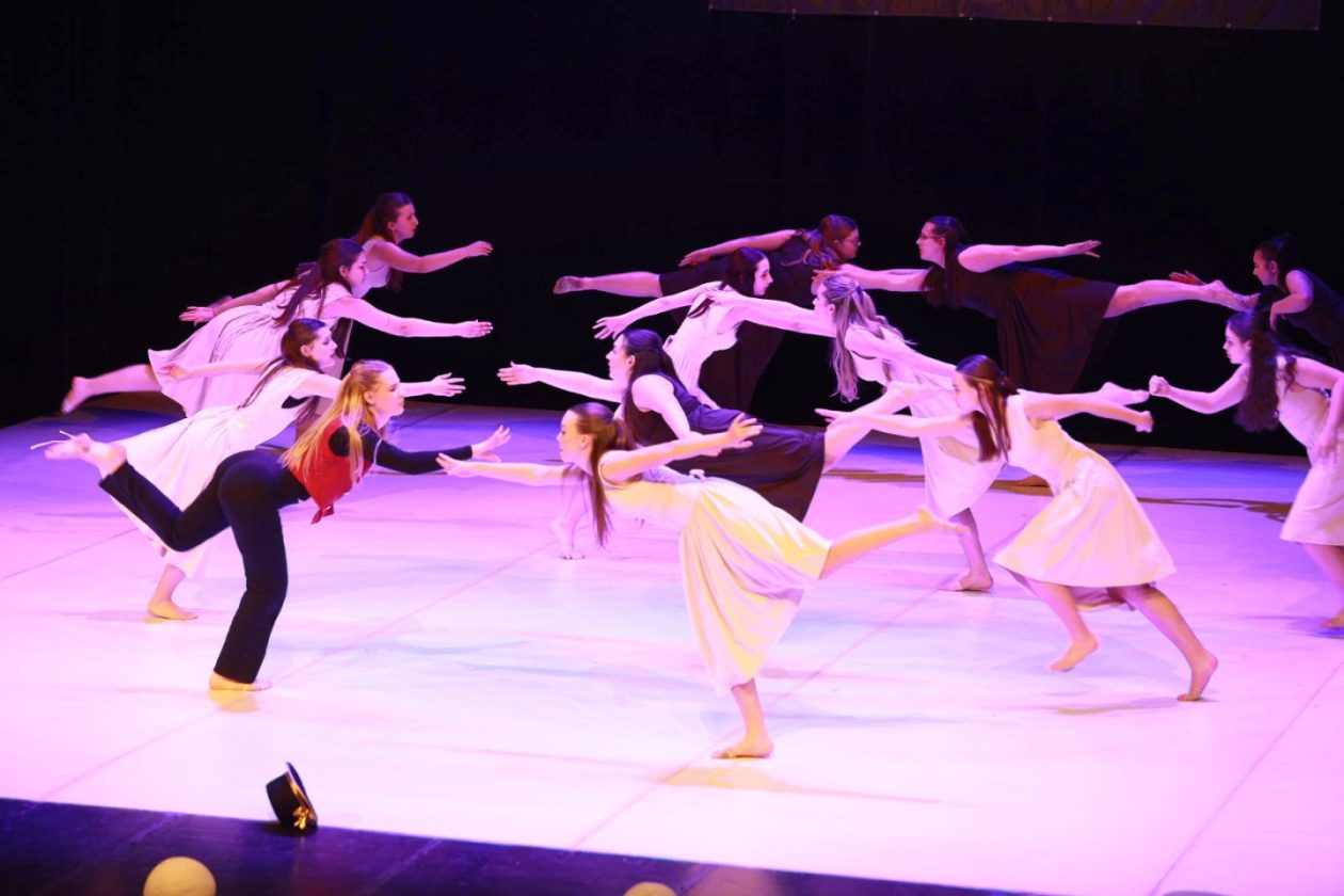 12. plesna zimska produkcija vivone 2026 (19)