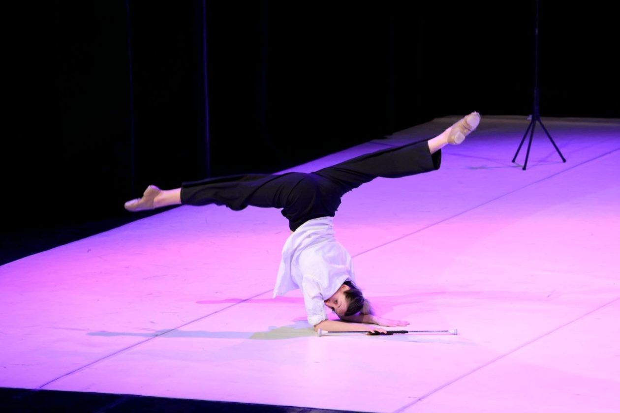 12. plesna zimska produkcija vivone 2026 (31)