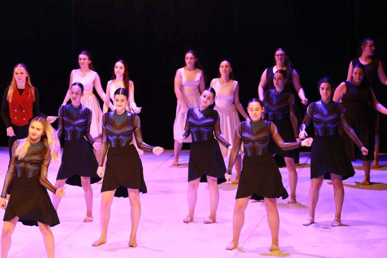 12. plesna zimska produkcija vivone 2026 (9)