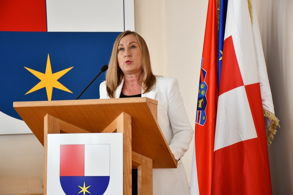 CENTRALIZACIJA BOLNICA Međimurska županija traži ocjenu ustavnosti zakona kojima osnivačka prava nad bolnicama preuzima država CENTRALIZACIJA BOLNICA Međimurska županija traži ocjenu ustavnosti zakona kojima osnivačka prava nad bolnicama preuzima država