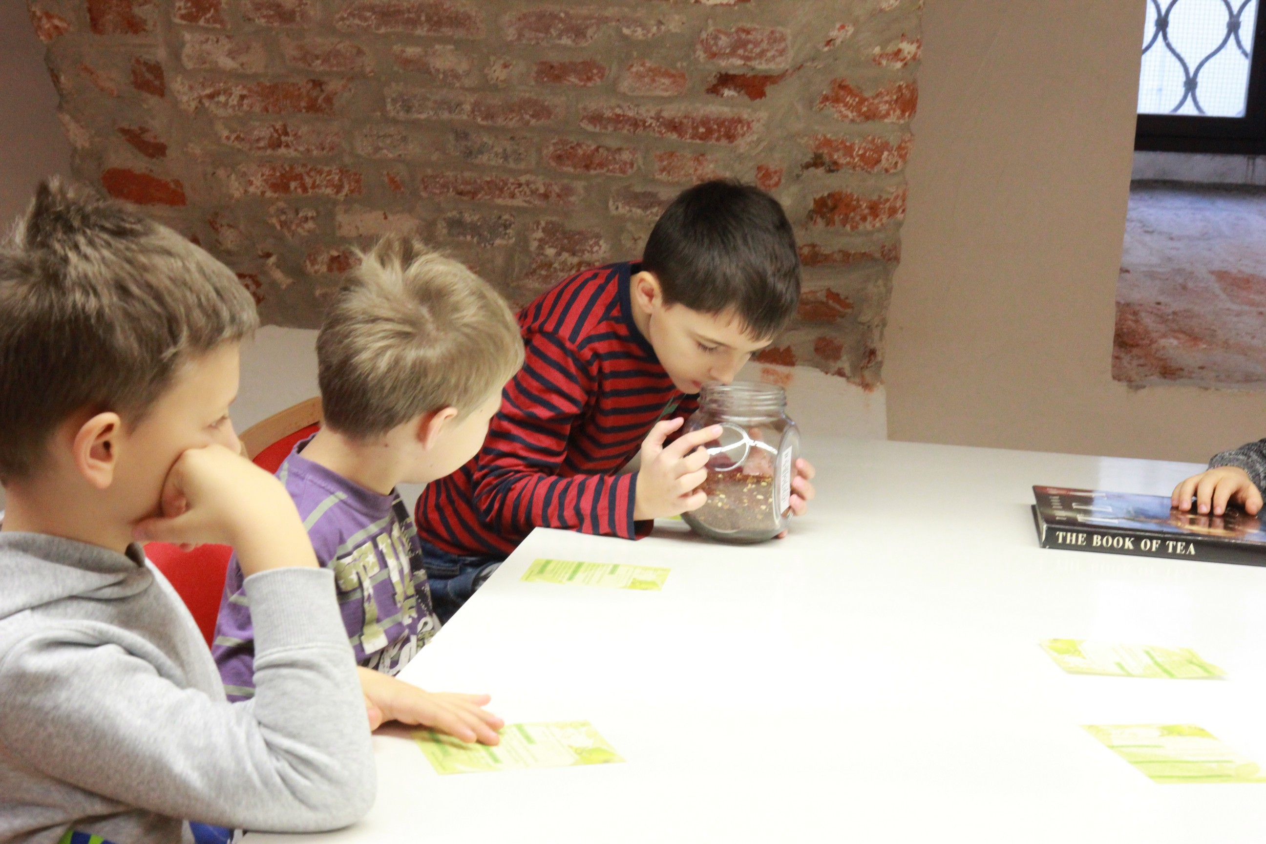 Muzej Međimurja Čakovec