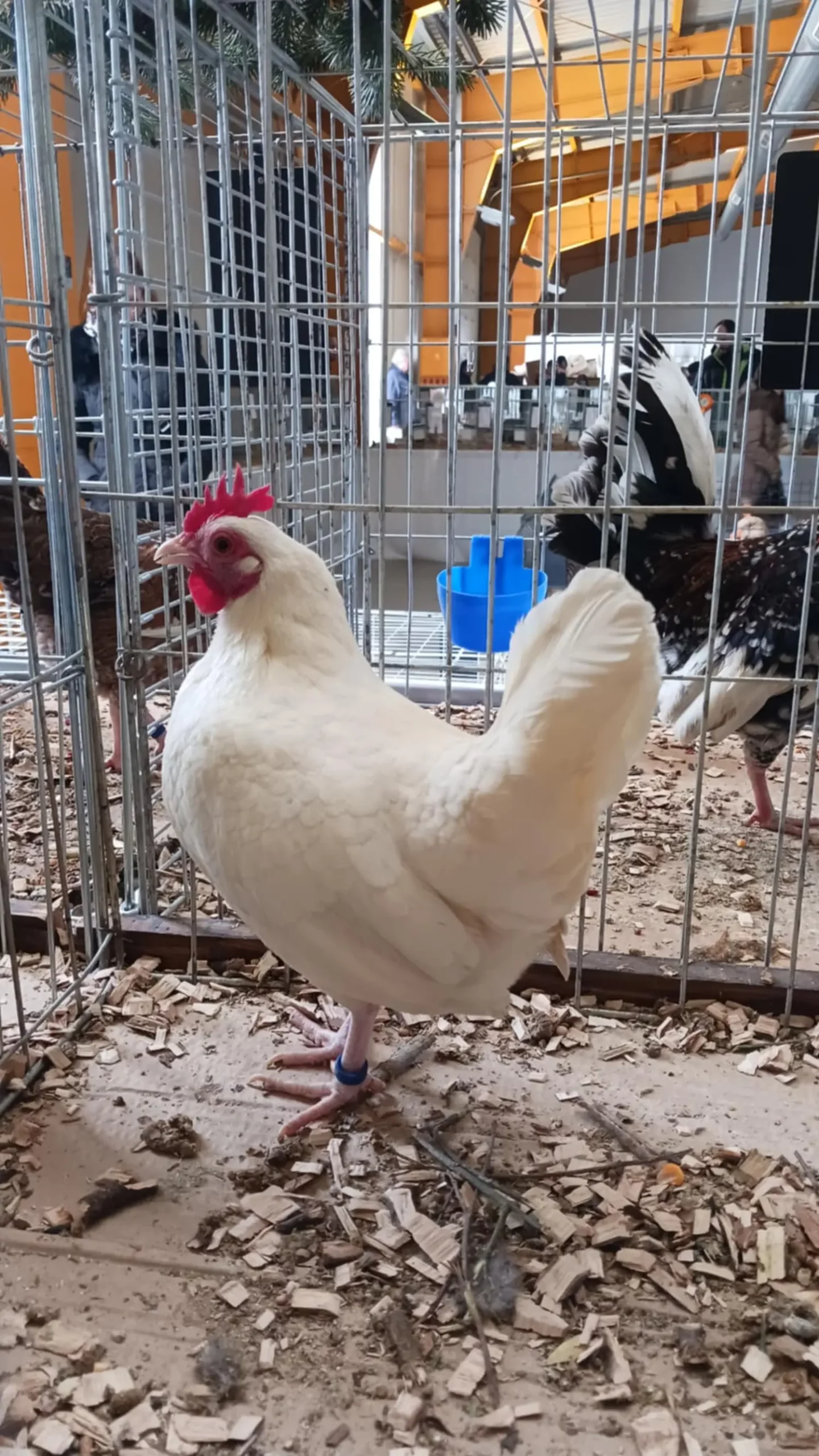 12ae03eb-189b-4386-9cdb-03e09eb70241 12ae03eb-189b-4386-9cdb-03e09eb70241