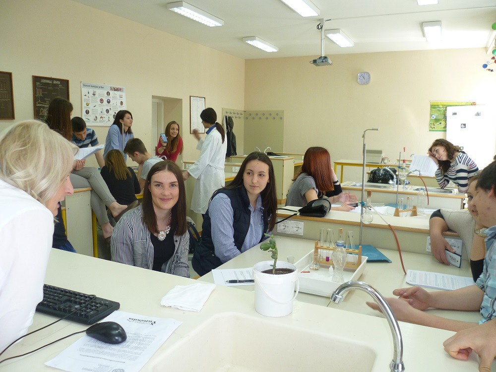 p1060881370139