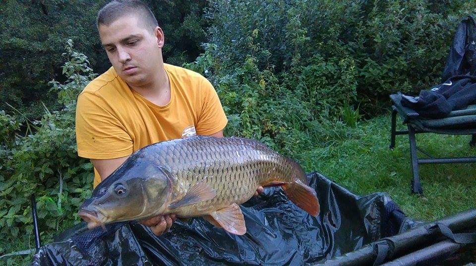 received1151398191538435186595