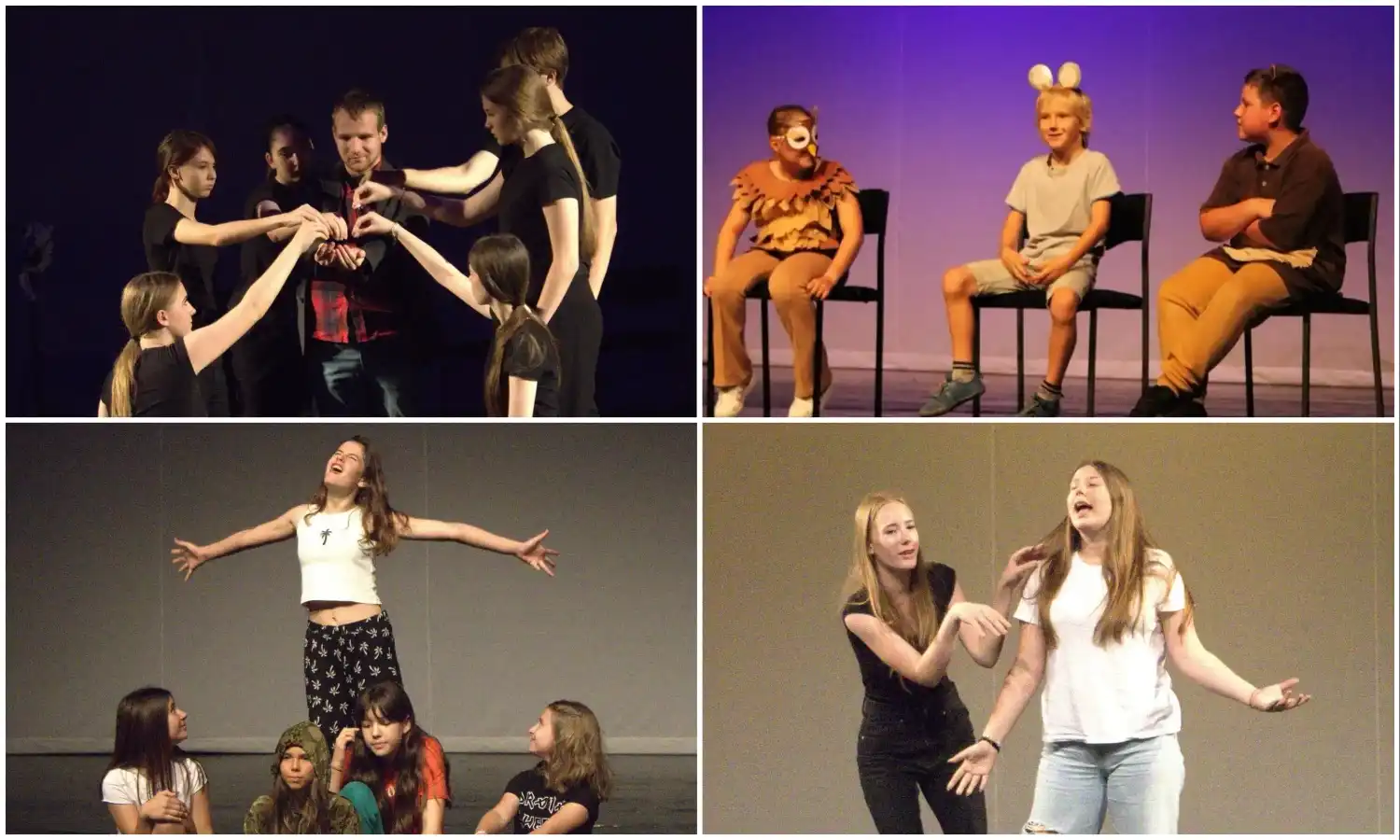 14. Fačuk festival kazališne kreativnosti 14. Fačuk festival kazališne kreativnosti