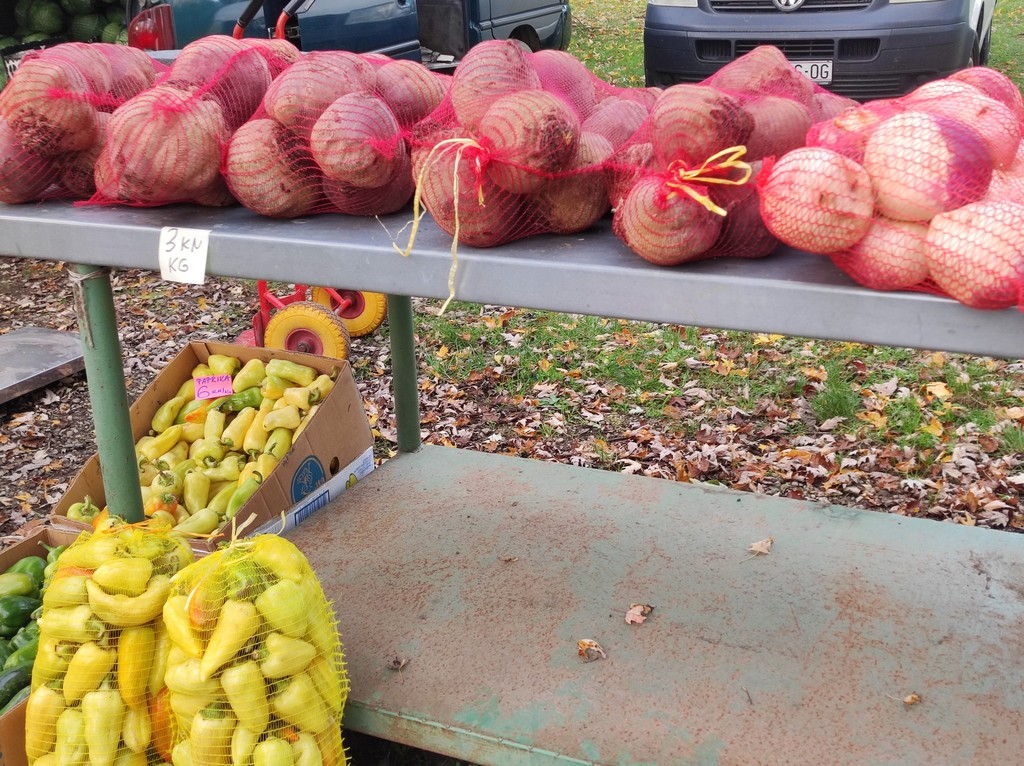 SAJAM SRIJEDOM Jeste li već probali meksički krastavac ili čajot?
