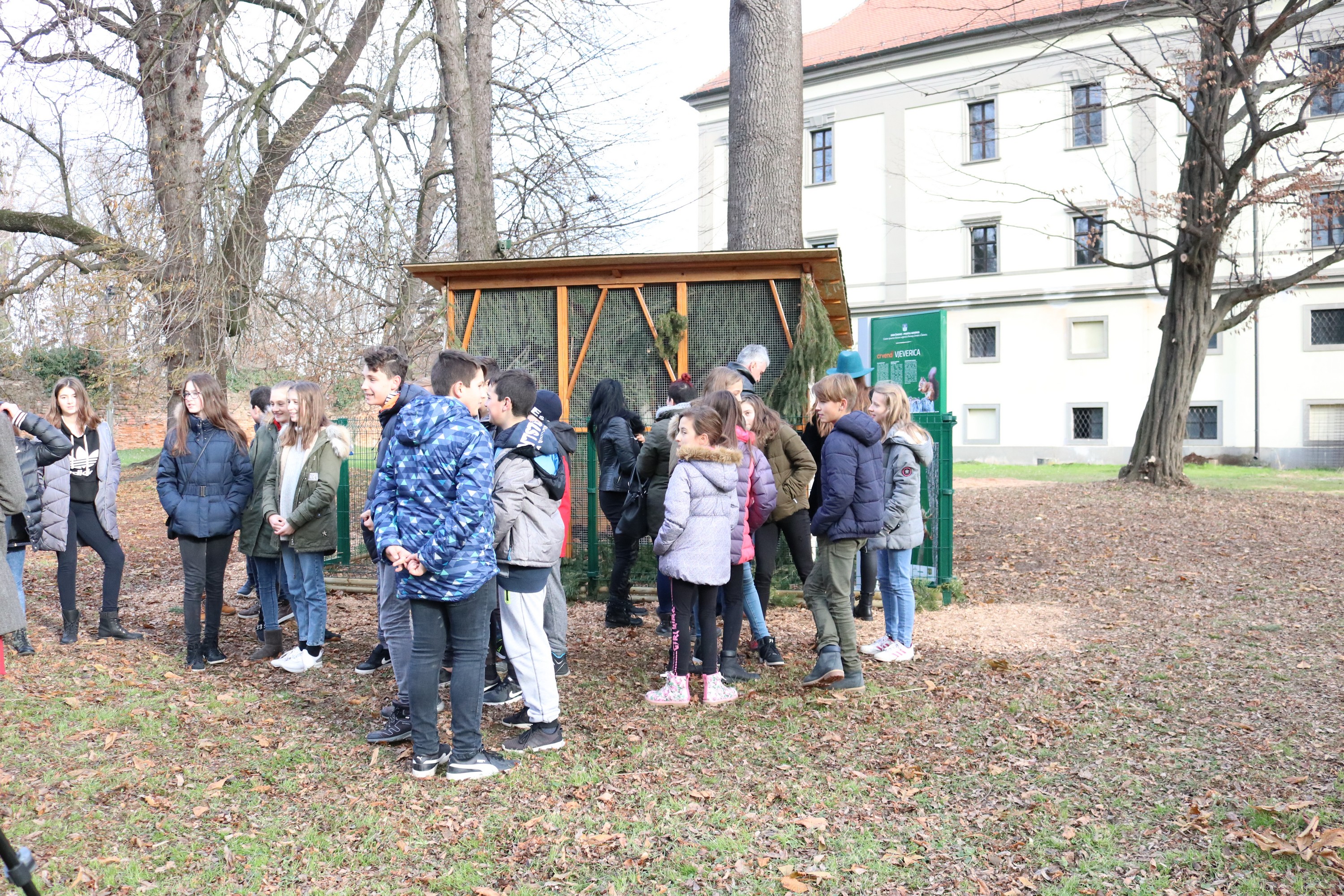 Crvene vjeverice stigle u Čakovec