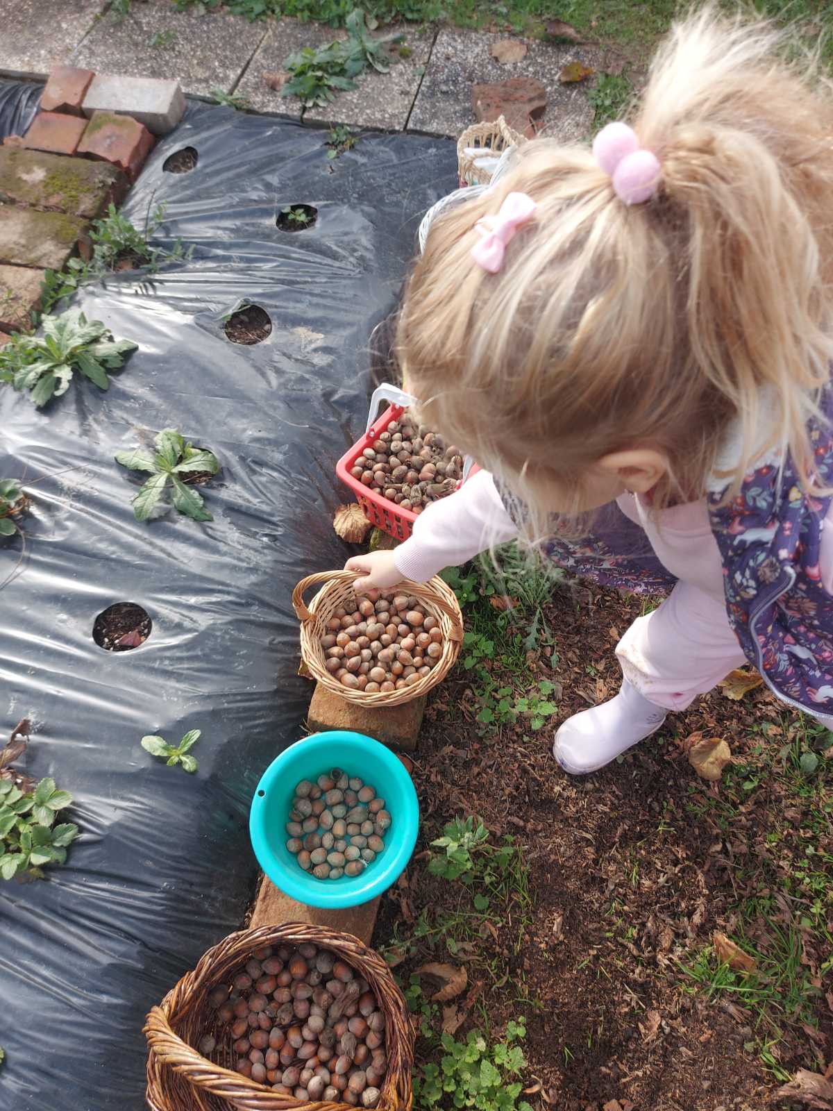 ‘Suncokreti’ iz čakovečkog vrtića Cvrčak posjetili lješnjikovac obitelji Sarač