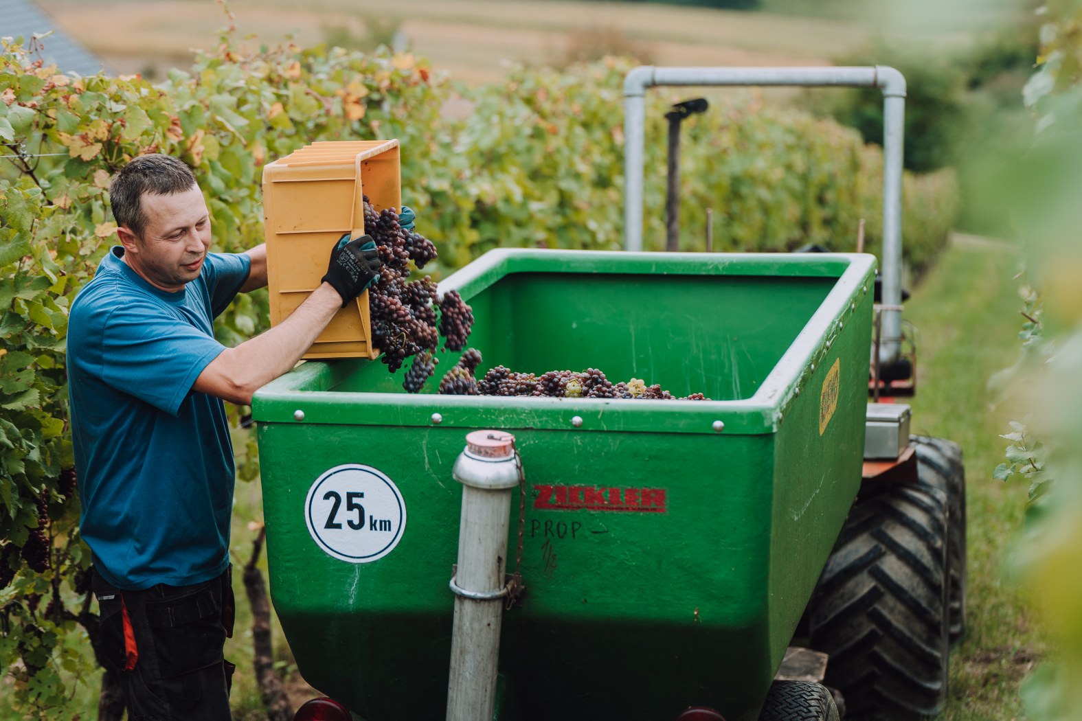 Image 5076540 (auto)