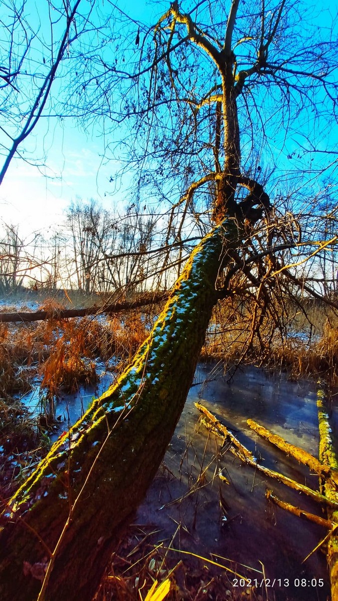 Zvonimir Habuš iz Kotoribe očarava fotografijama netaknute prirode
