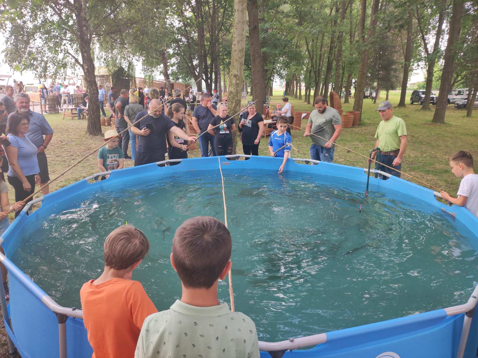NAJVEĆA KOTORIPSKA MANIFESTACIJA Dani šibe i ribe i ove godine privukli mnoštvo gostiju